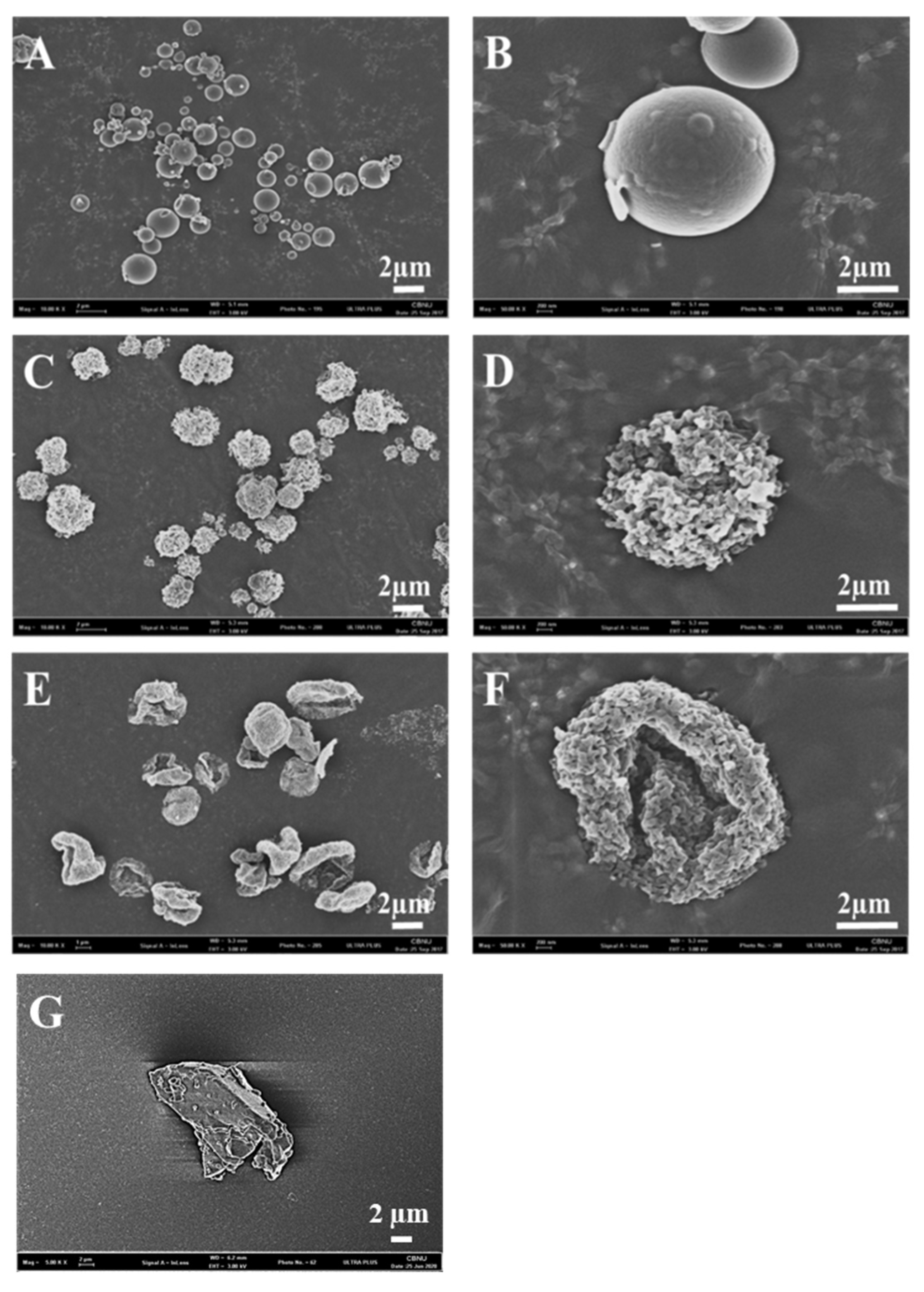 Pharmaceutics 12 00765 g002