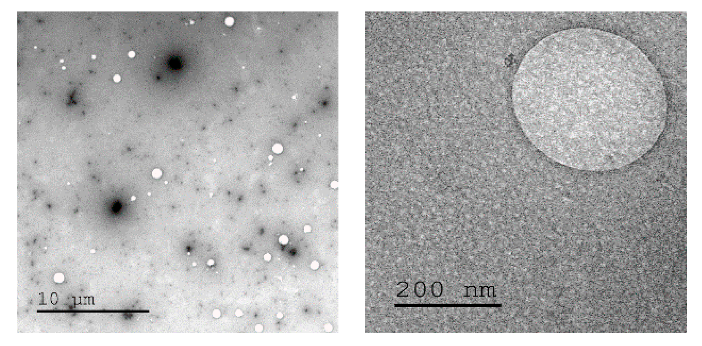 Pharmaceutics 12 00768 g002