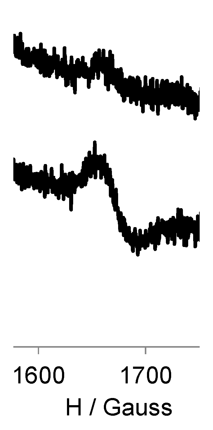 Pharmaceutics 12 00772 g004