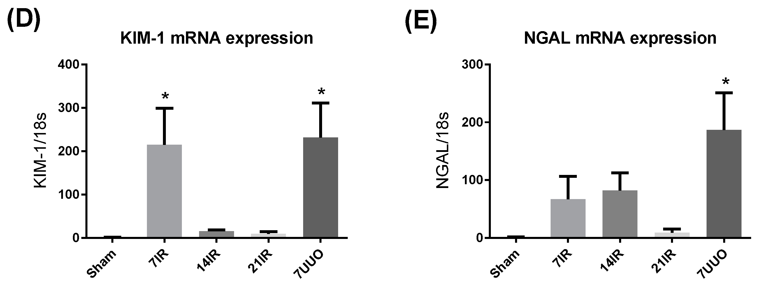 Pharmaceutics 12 00775 g001b