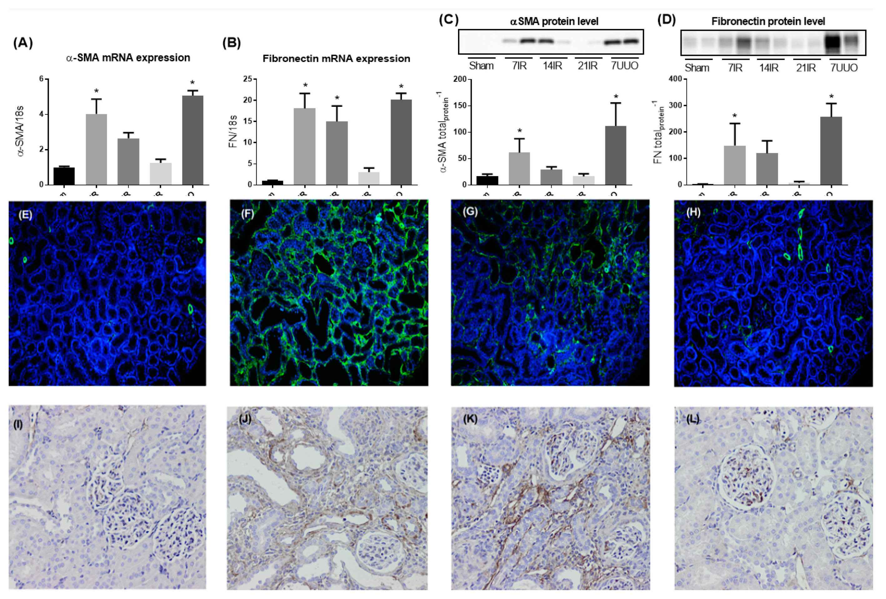 Pharmaceutics 12 00775 g002