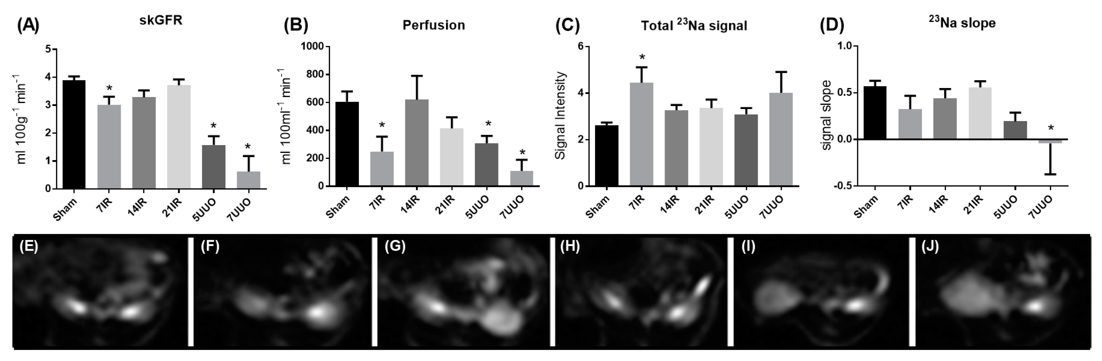 Pharmaceutics 12 00775 g004