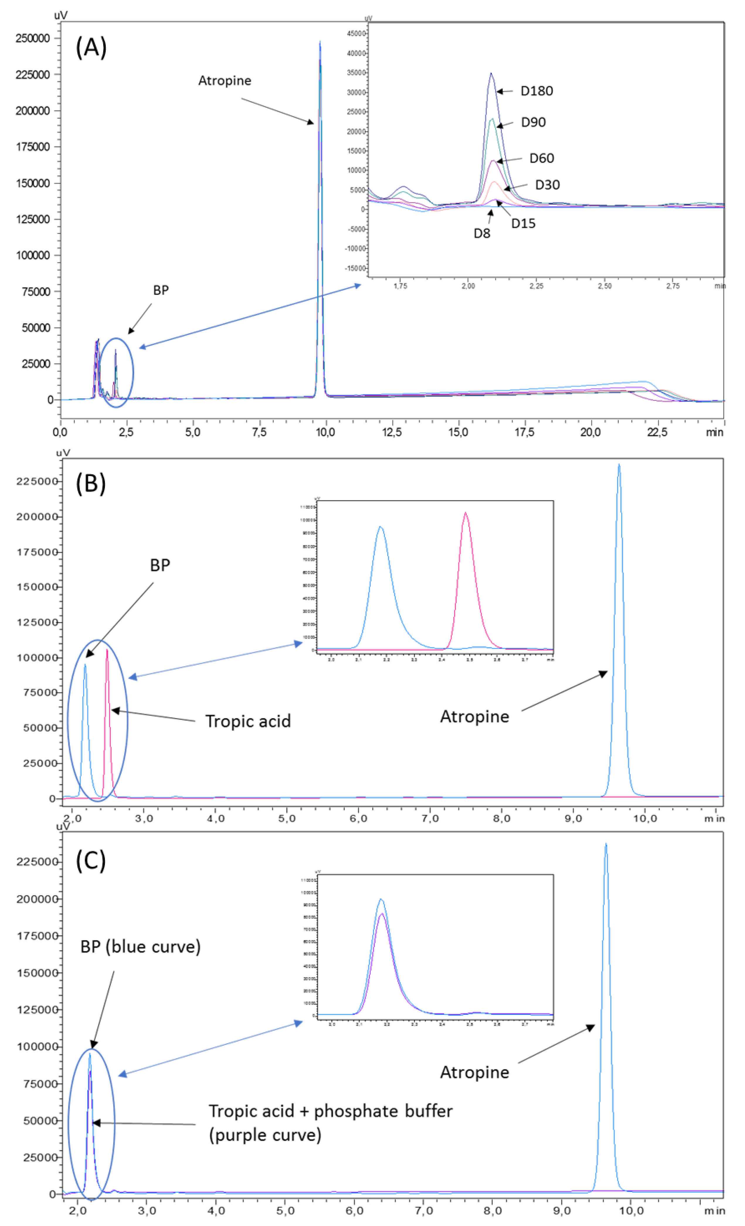 Pharmaceutics 12 00781 g005