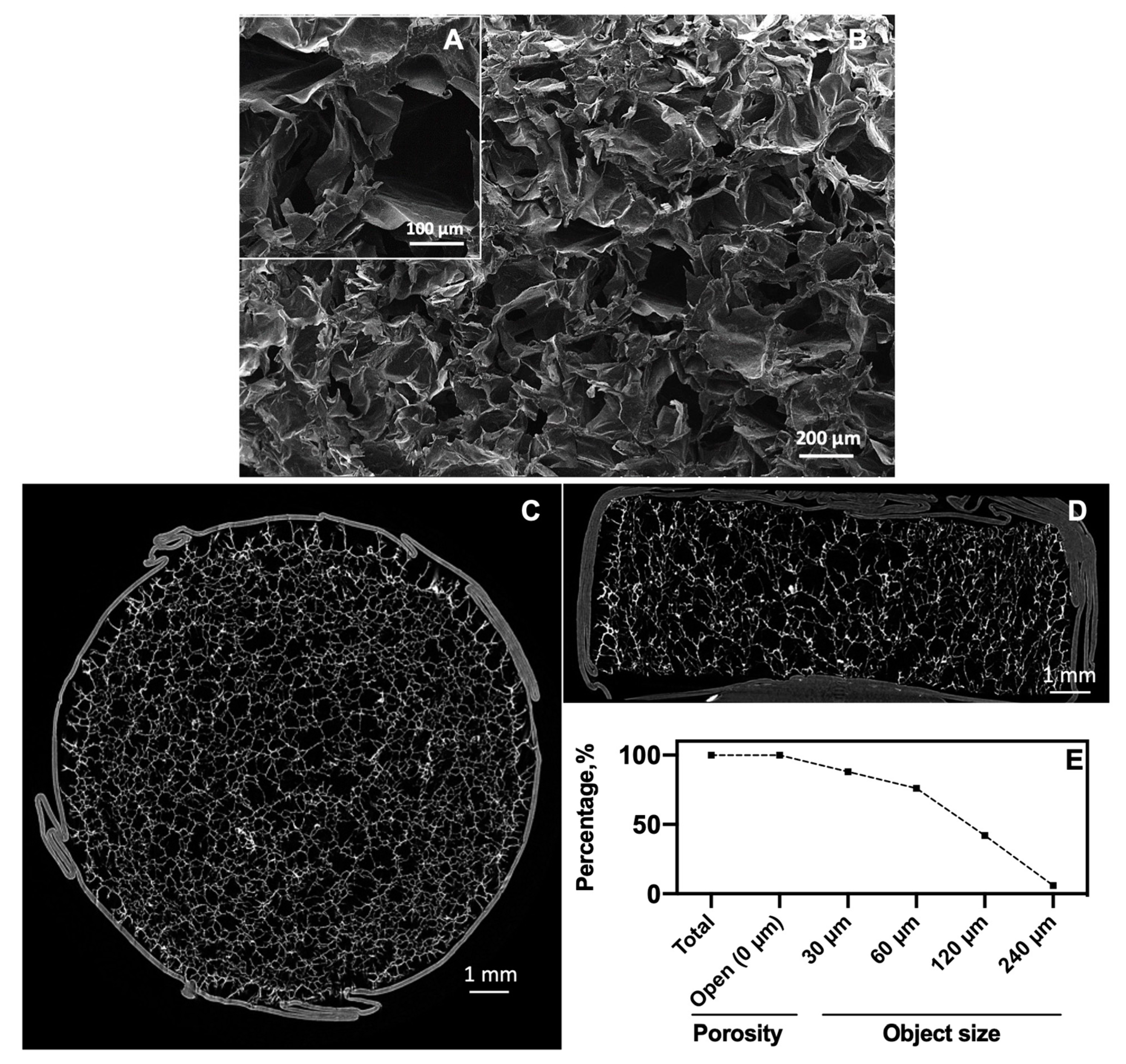 Pharmaceutics 12 00784 g002