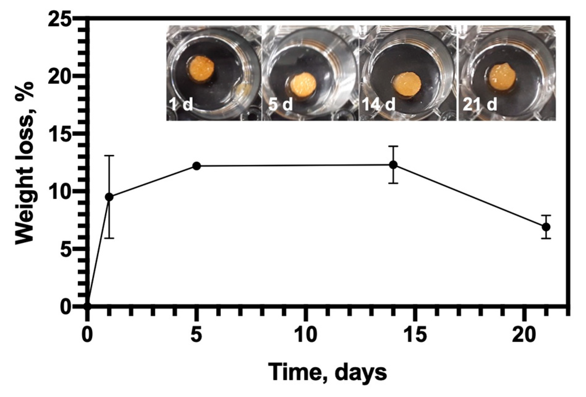 Pharmaceutics 12 00784 g004