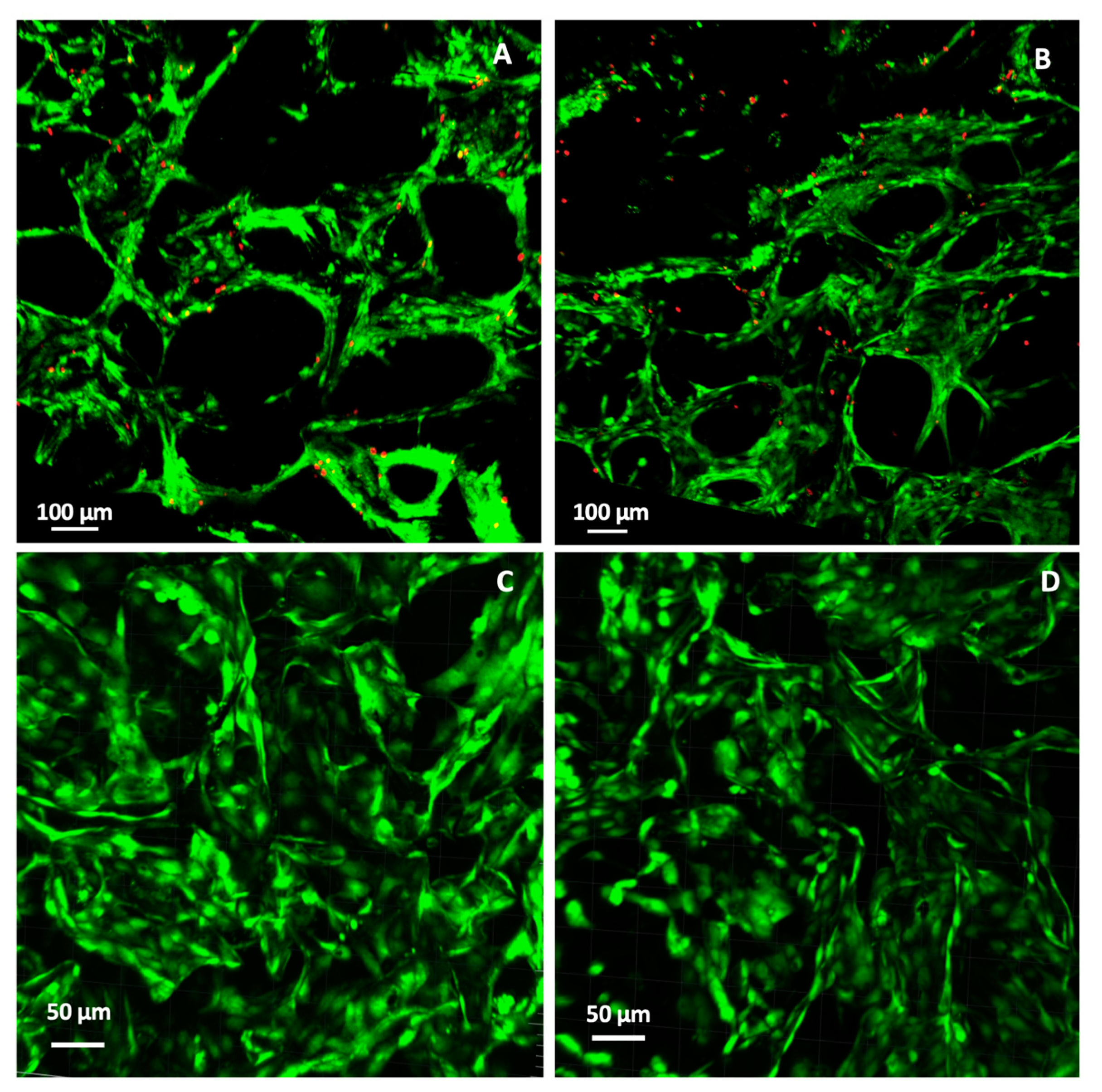 Pharmaceutics 12 00784 g006