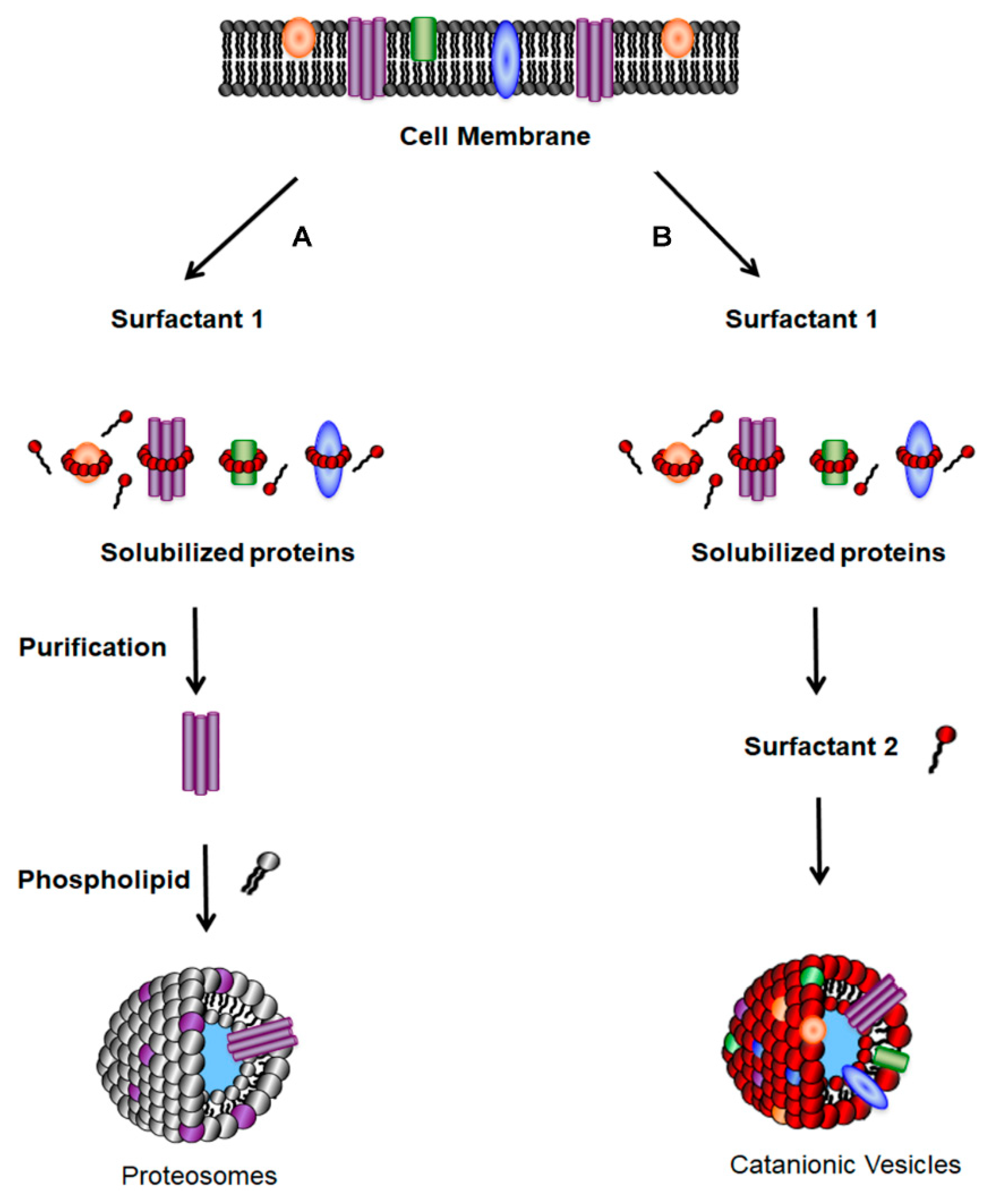 Pharmaceutics 12 00787 sch001