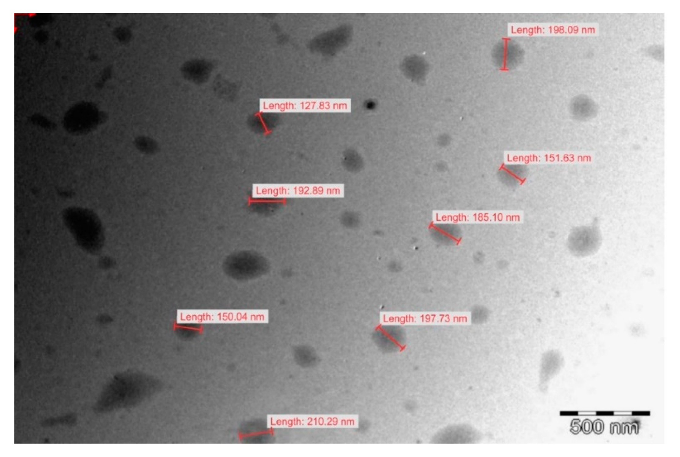 Pharmaceutics 12 00797 g010 Pharmaceutics 12 00797 g010
