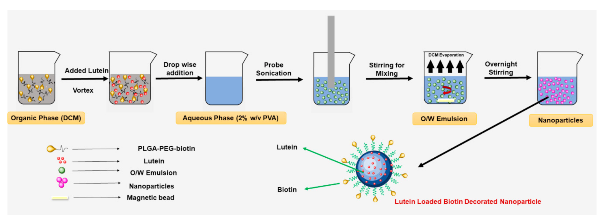 Pharmaceutics 12 00798 g001 Pharmaceutics 12 00798 g001