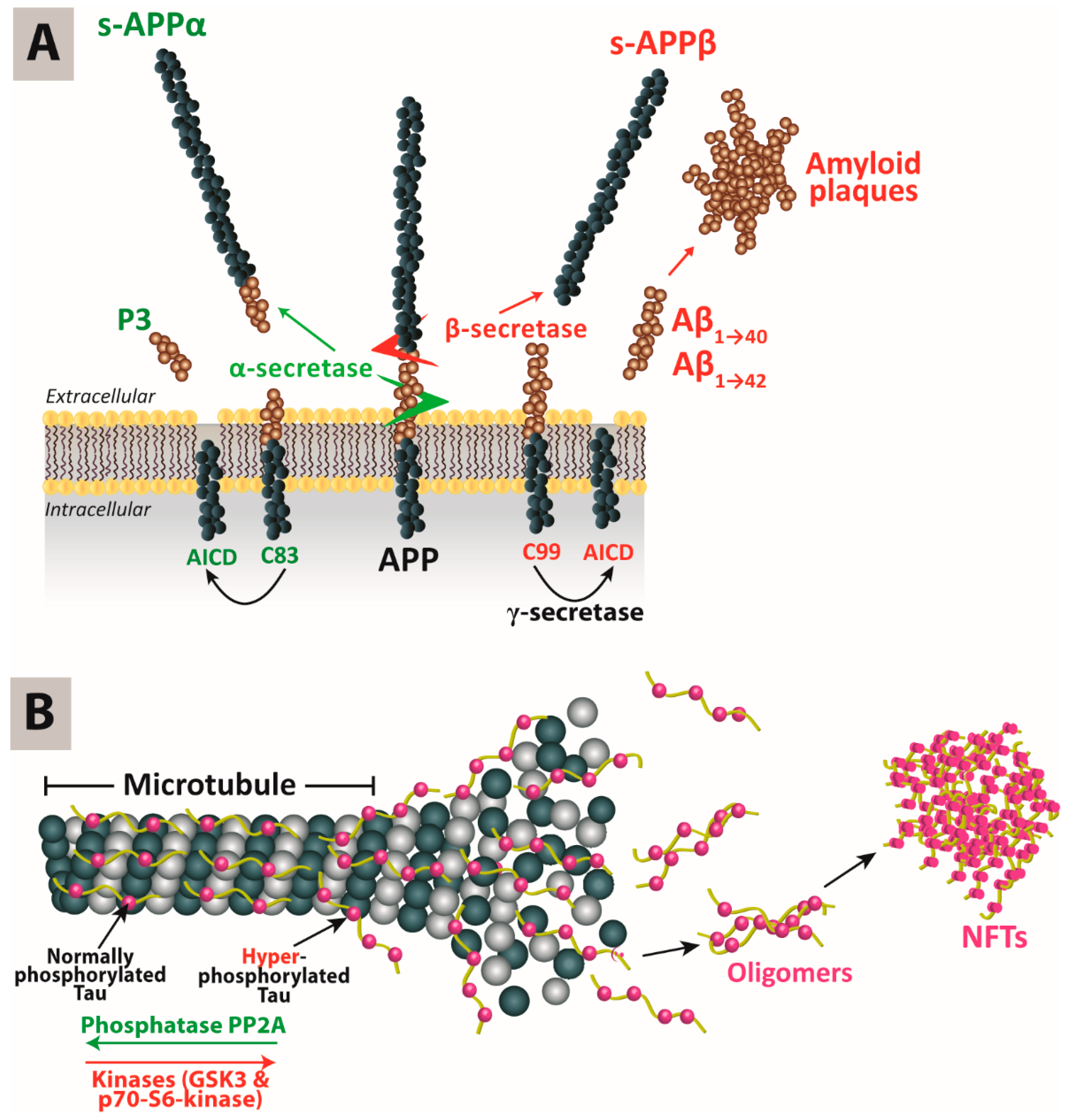 Pharmaceutics 12 00801 g001 Pharmaceutics 12 00801 g001