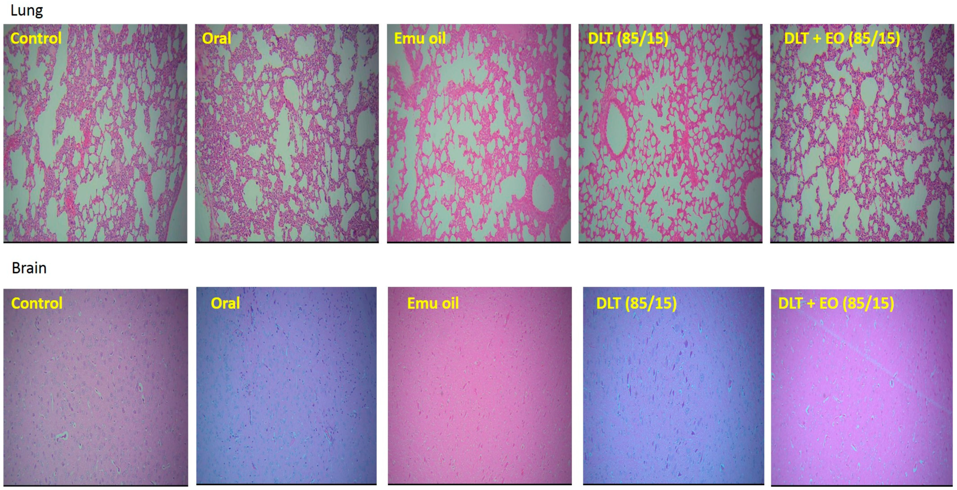 Pharmaceutics 12 00807 g004