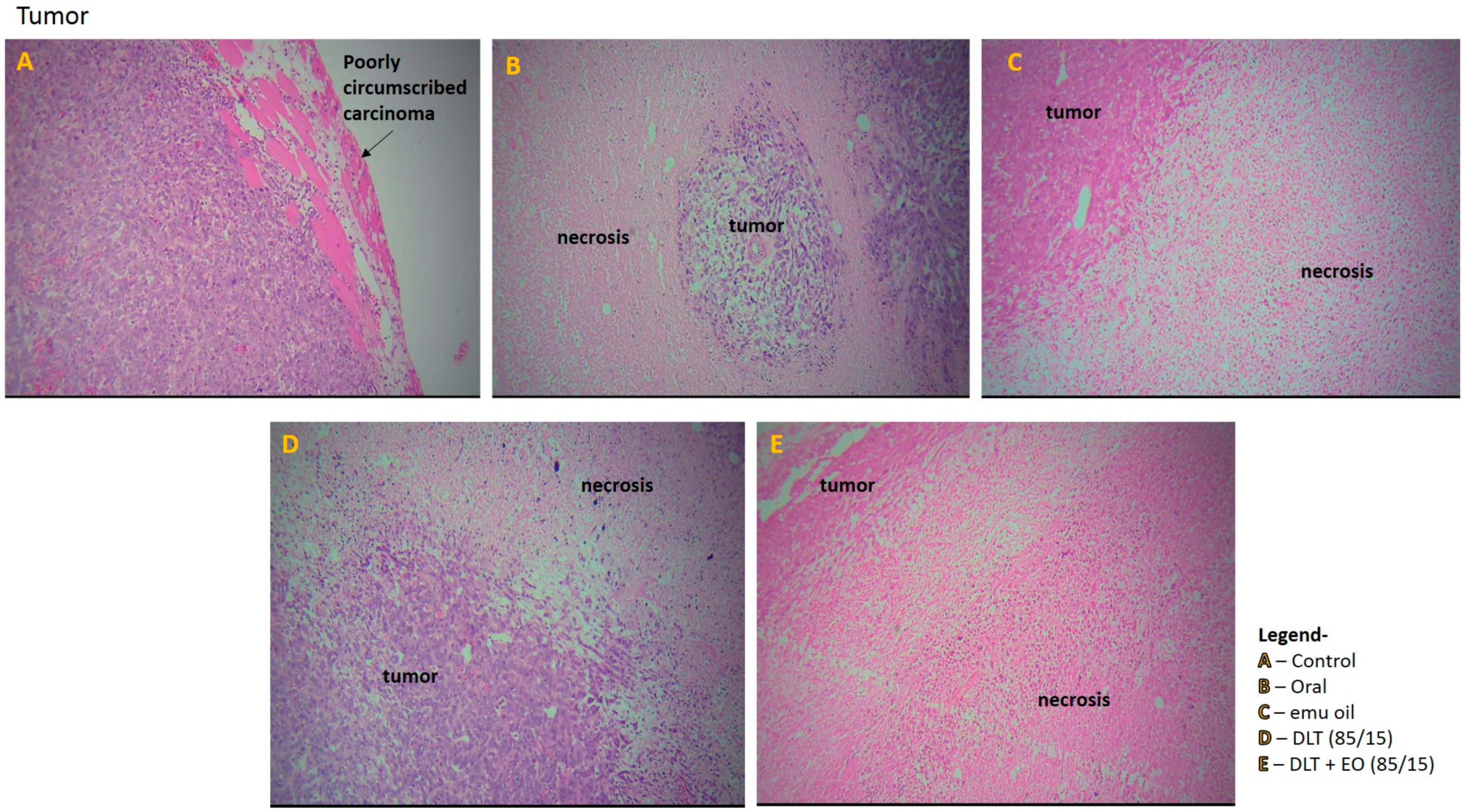 Pharmaceutics 12 00807 g006