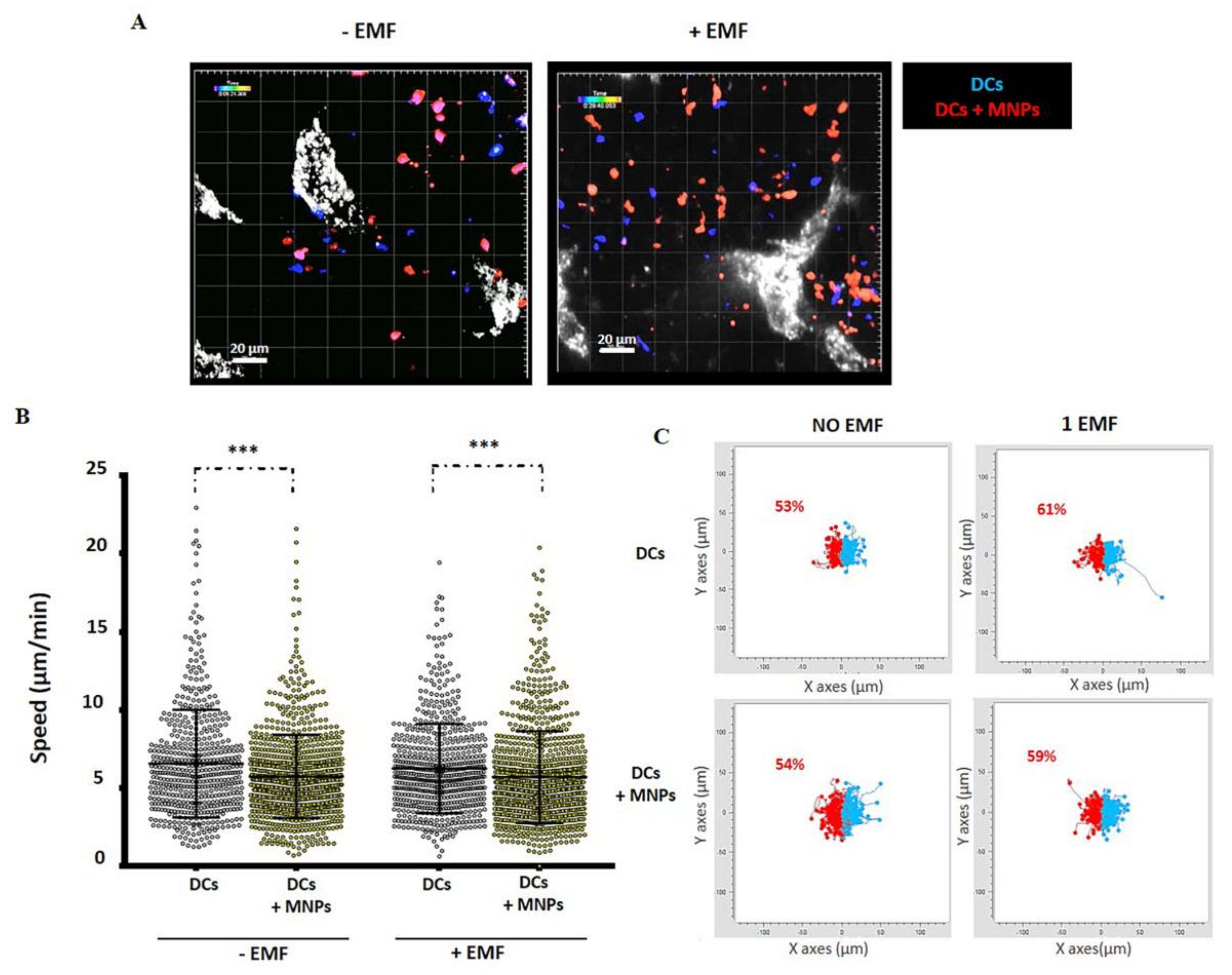Pharmaceutics 12 00812 g006