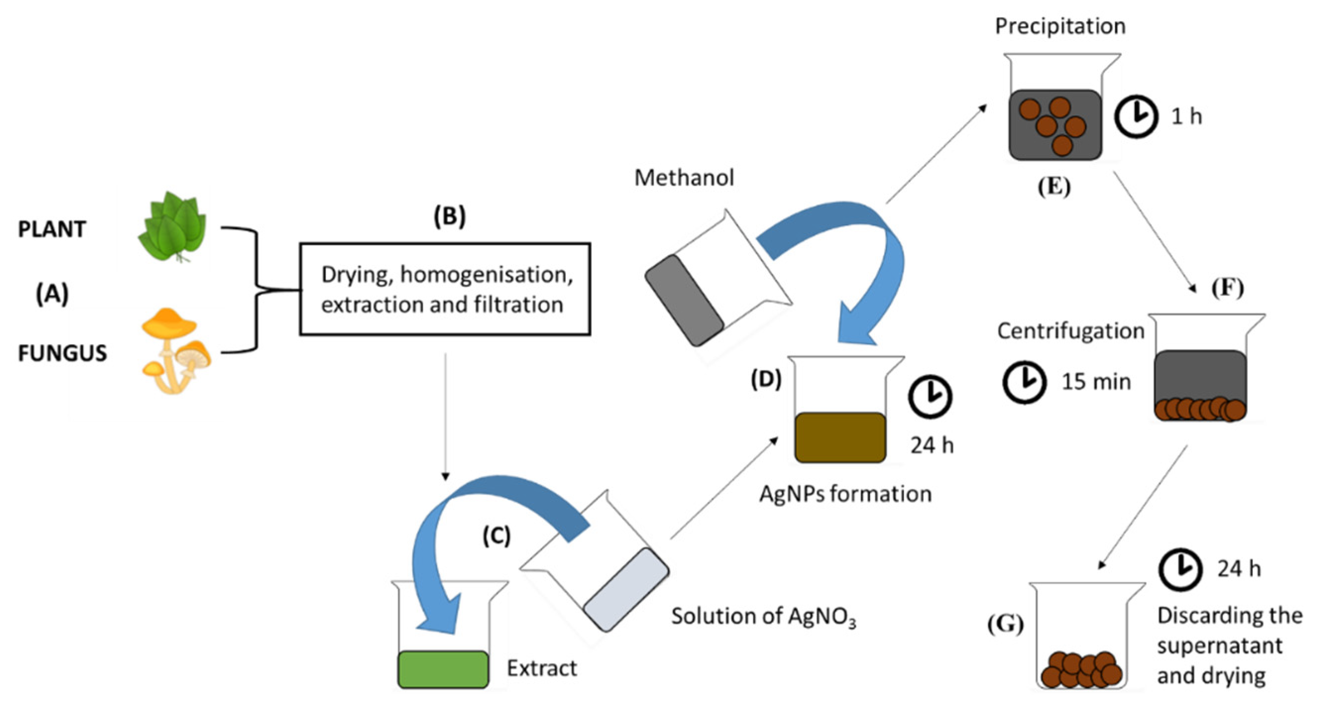 Pharmaceutics 12 00821 g007