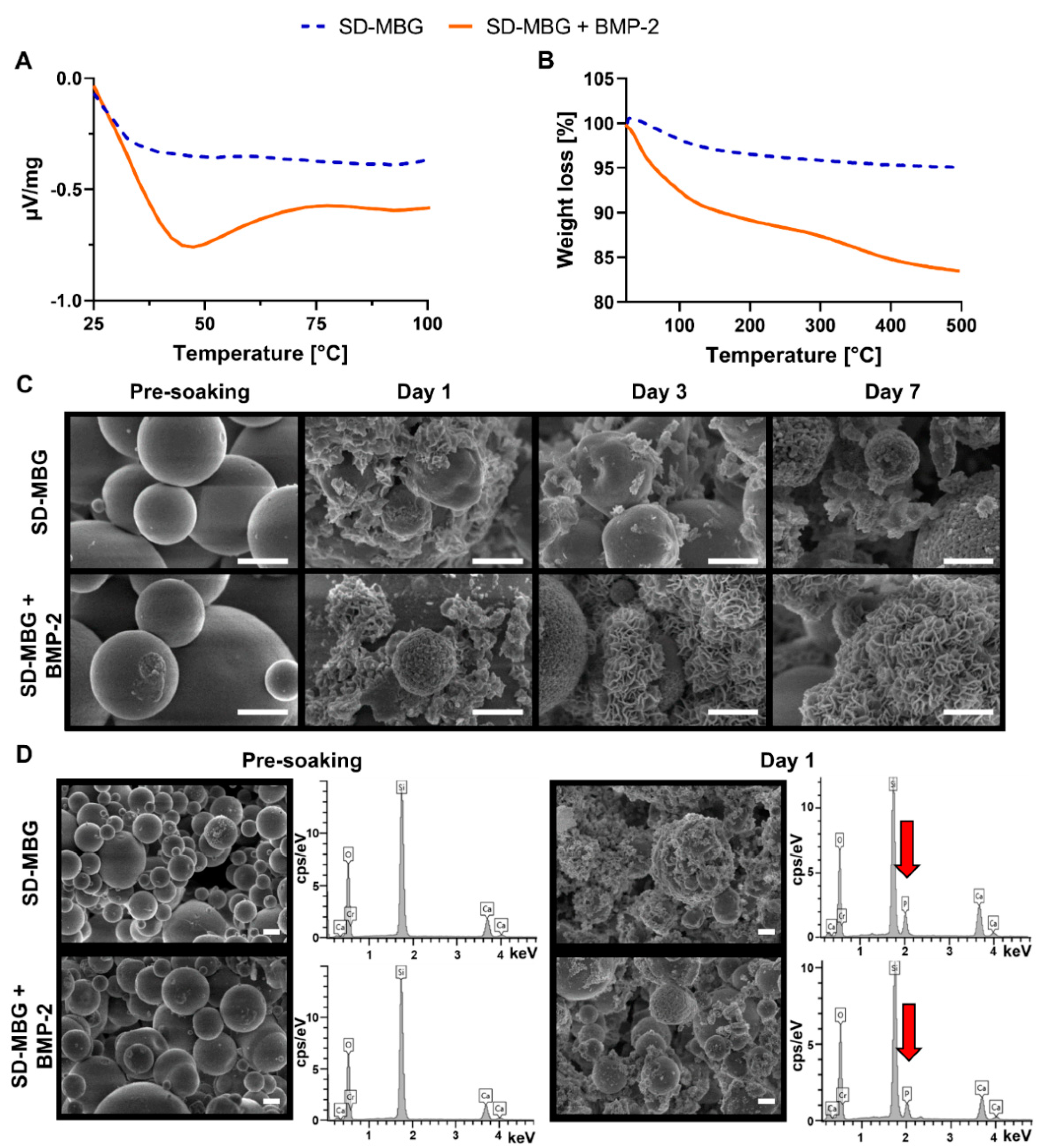 Pharmaceutics 12 00823 g001