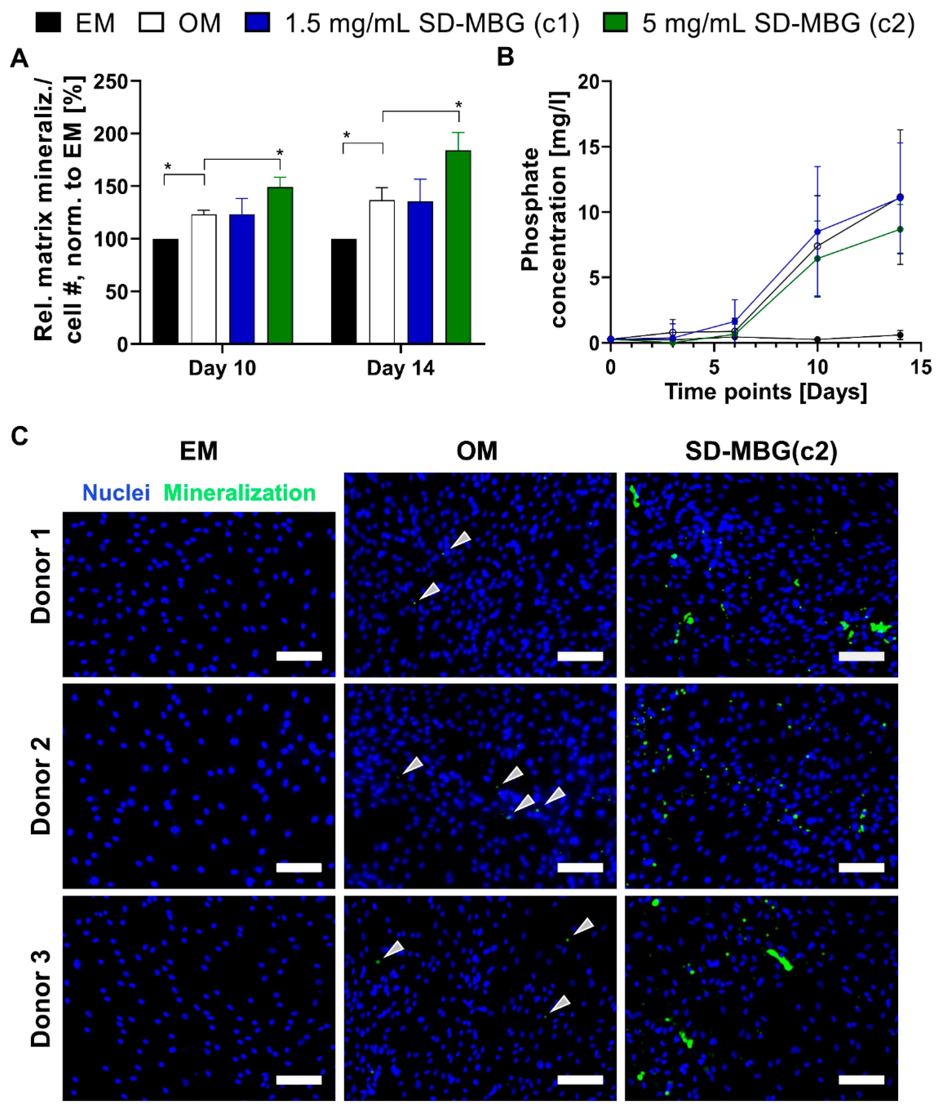 Pharmaceutics 12 00823 g004