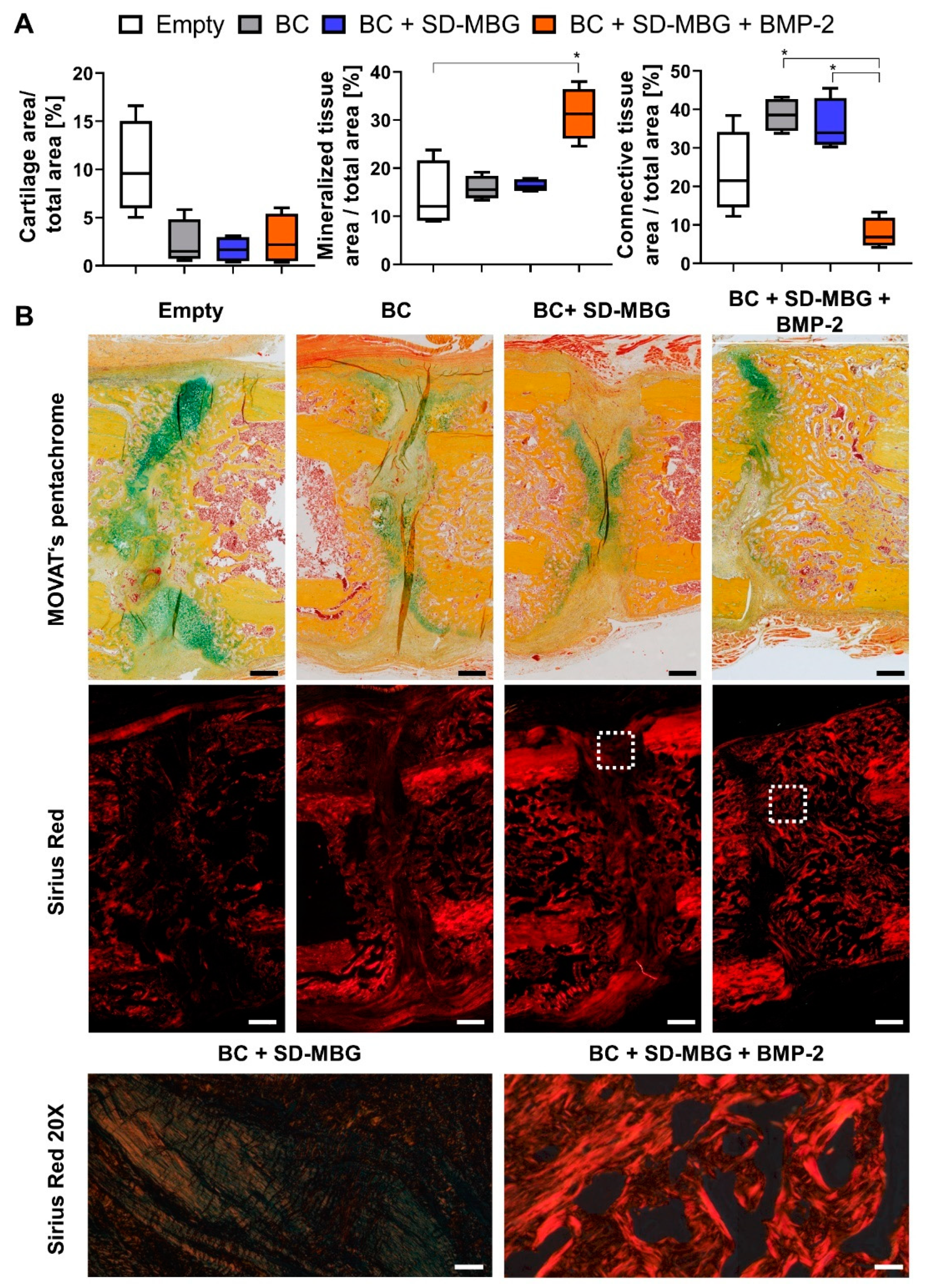 Pharmaceutics 12 00823 g006
