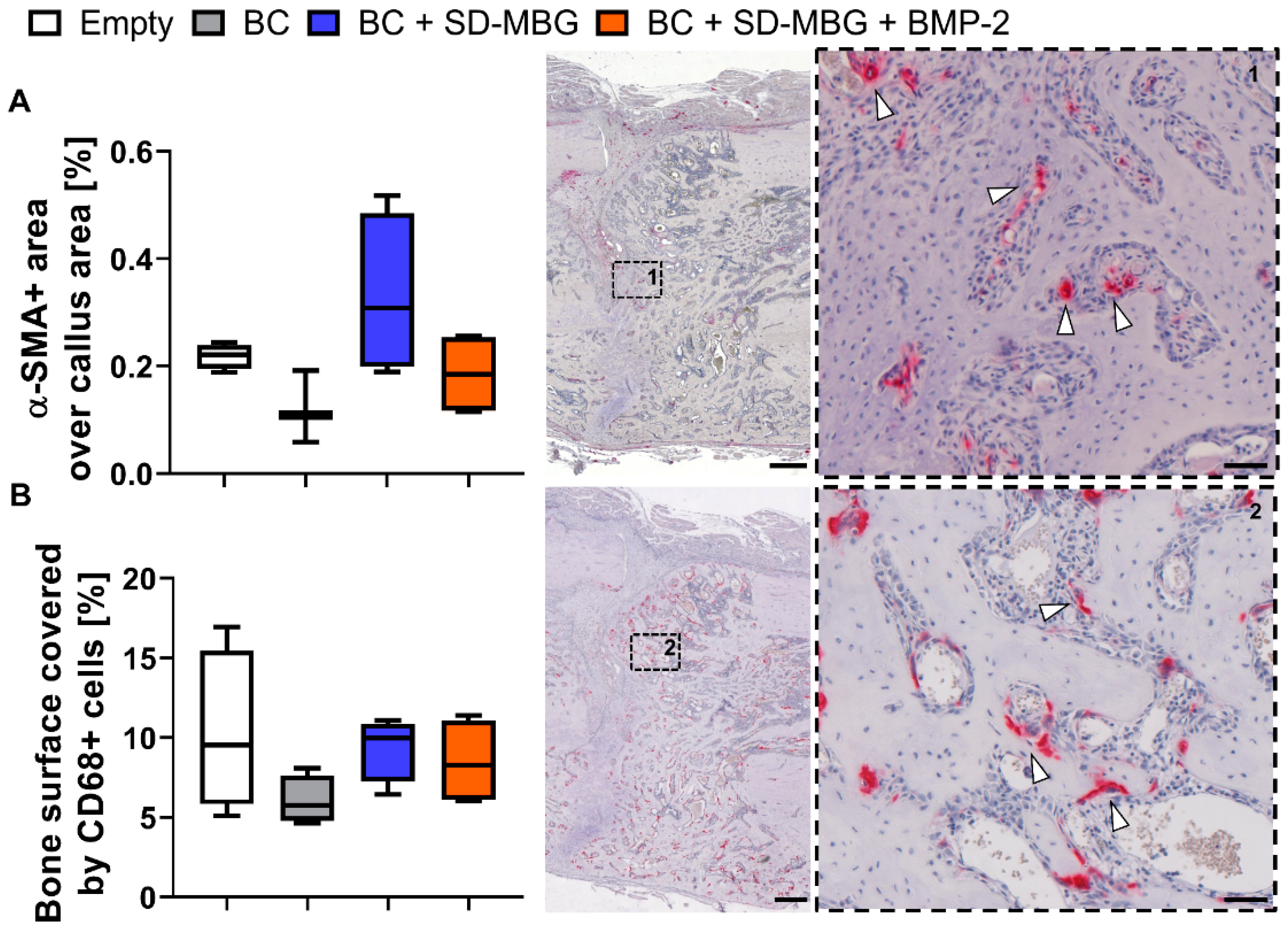 Pharmaceutics 12 00823 g007