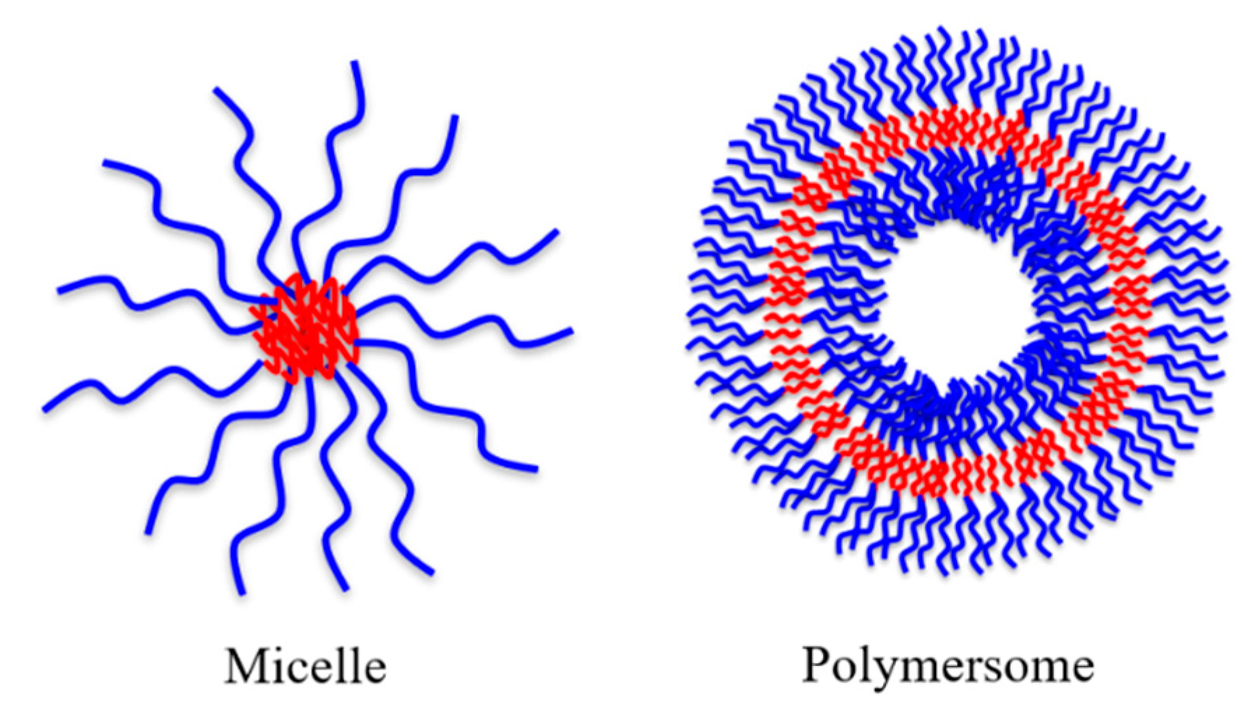 Pharmaceutics 12 00827 g004