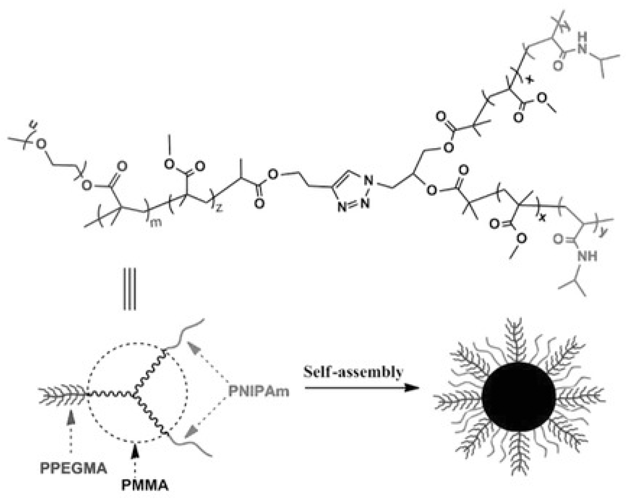 Pharmaceutics 12 00827 g009