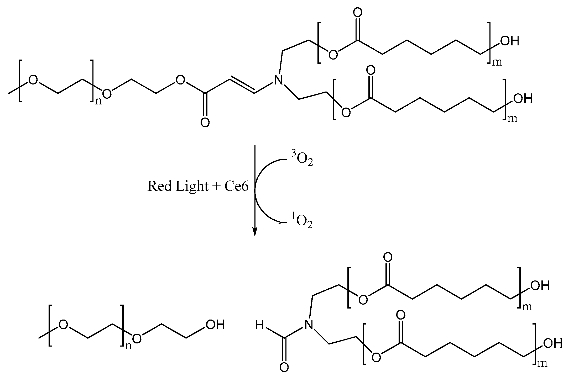 Pharmaceutics 12 00827 sch006