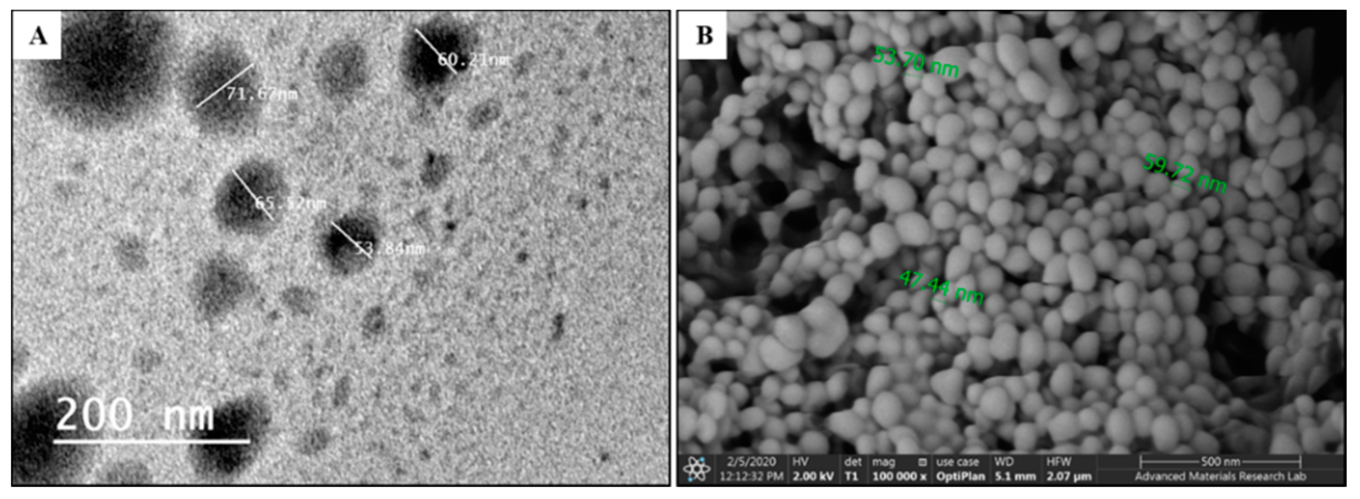 Pharmaceutics 12 00828 g006