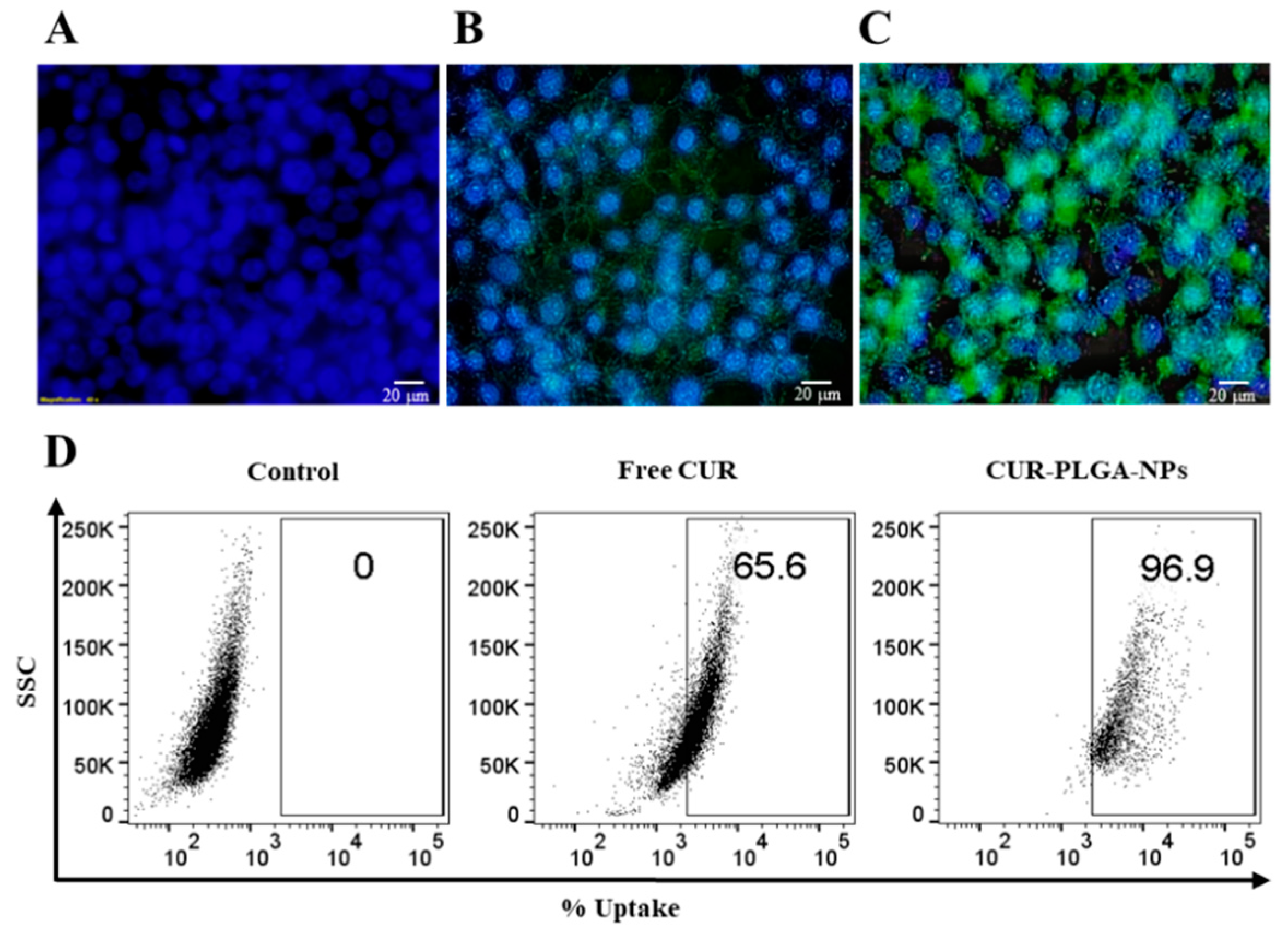 Pharmaceutics 12 00828 g010