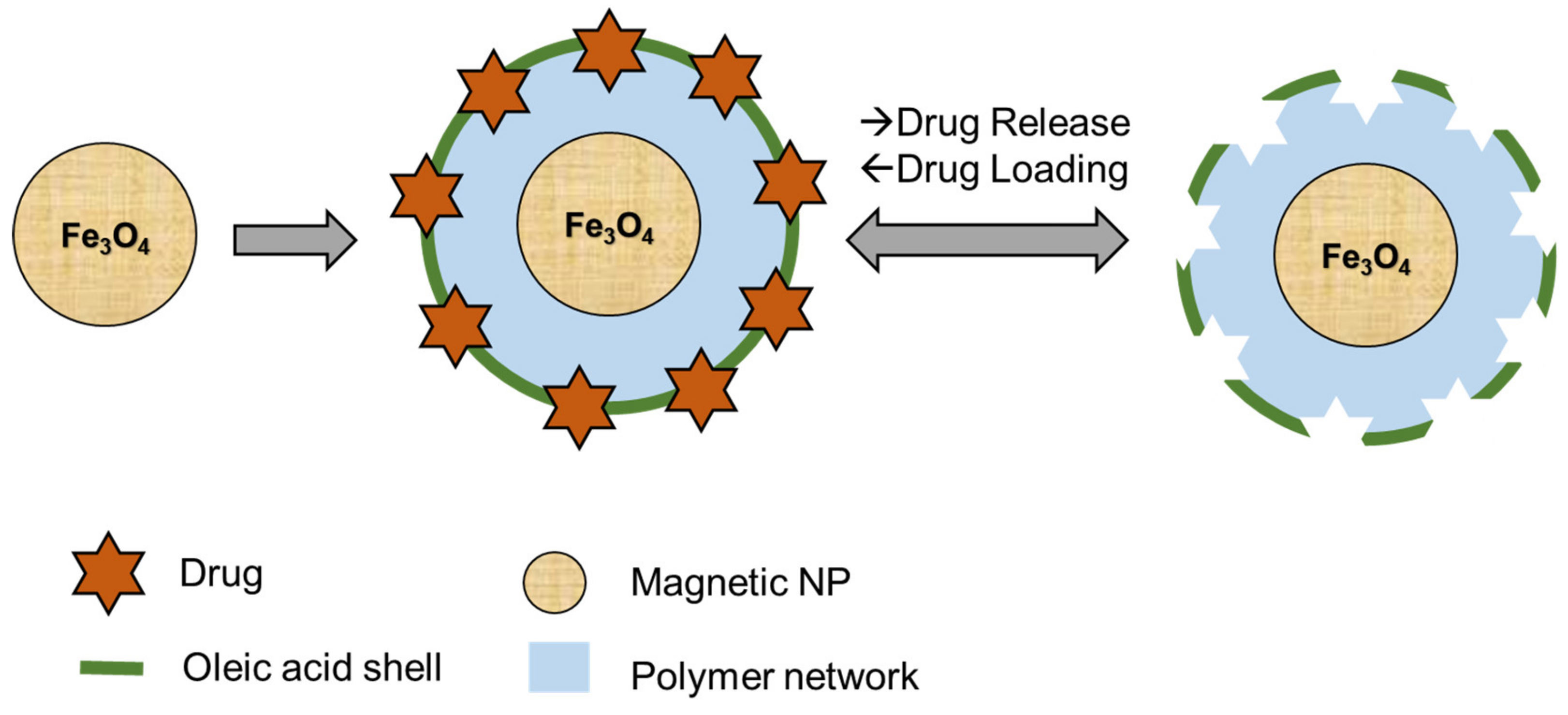 Pharmaceutics 12 00831 g003 Pharmaceutics 12 00831 g003