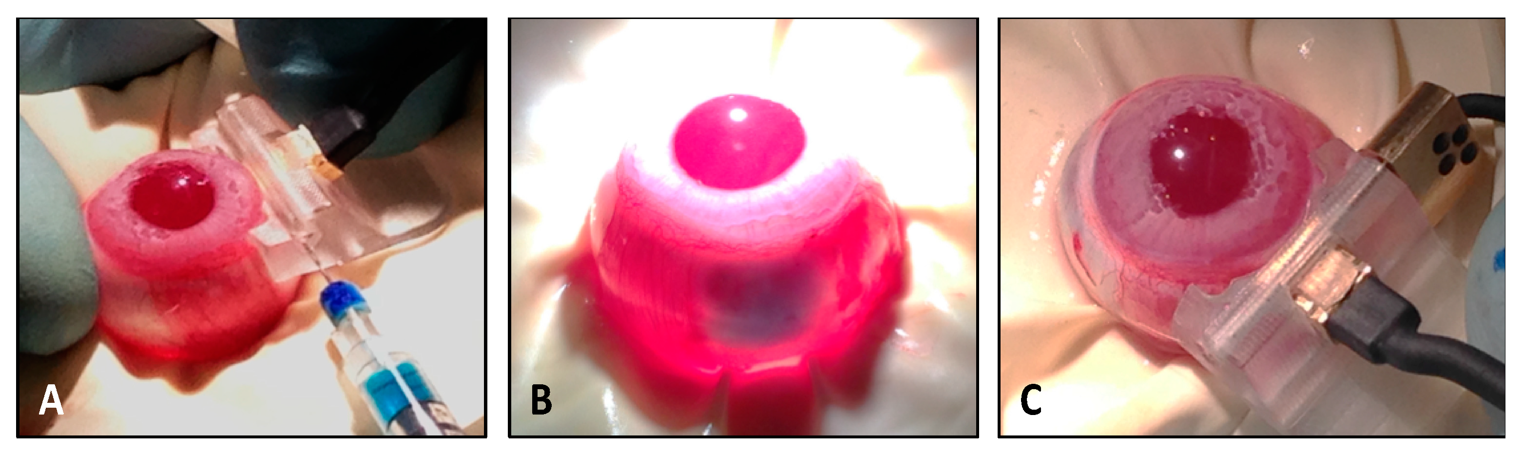 Pharmaceutics 12 00836 g001
