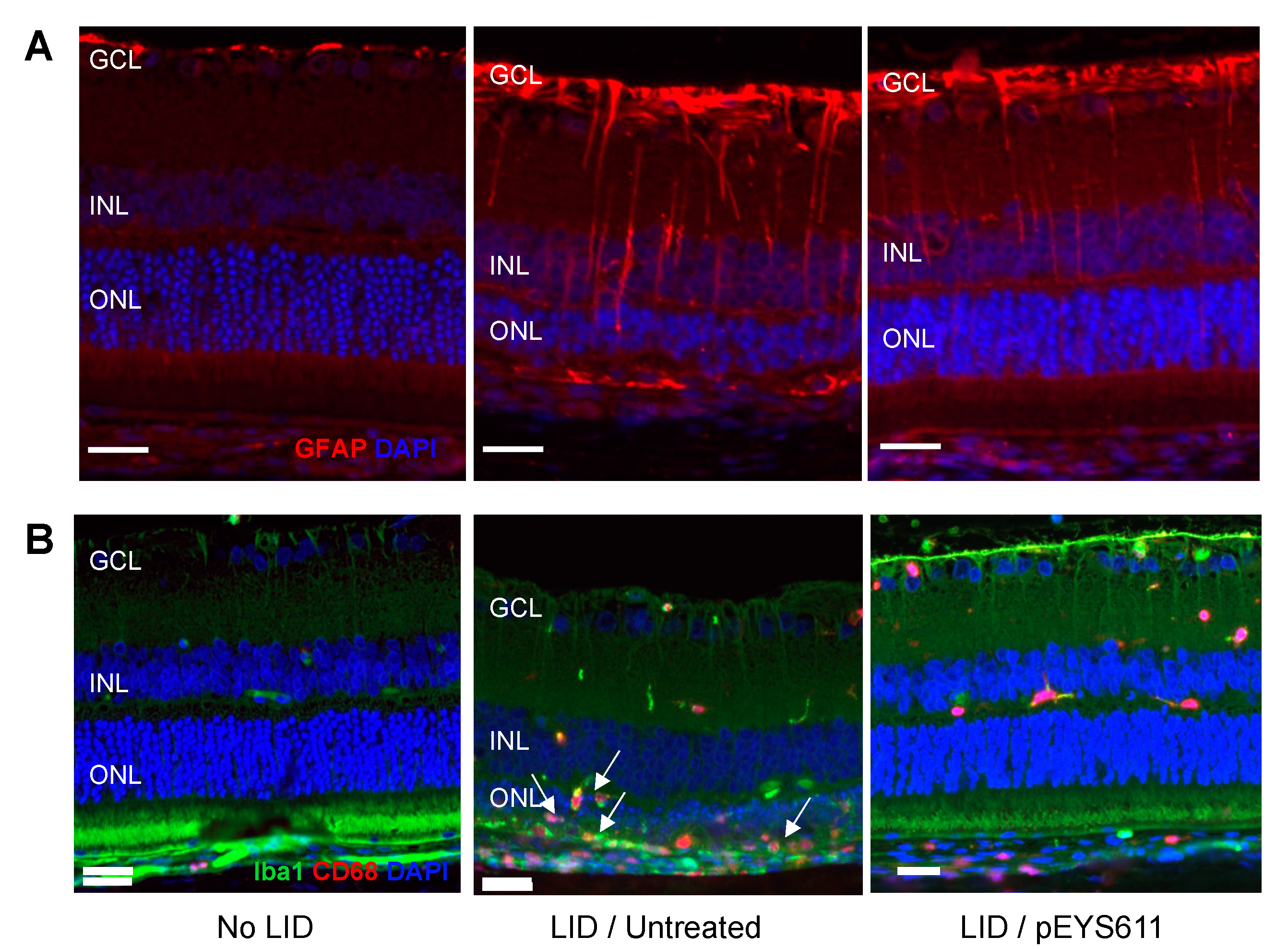 Pharmaceutics 12 00836 g005