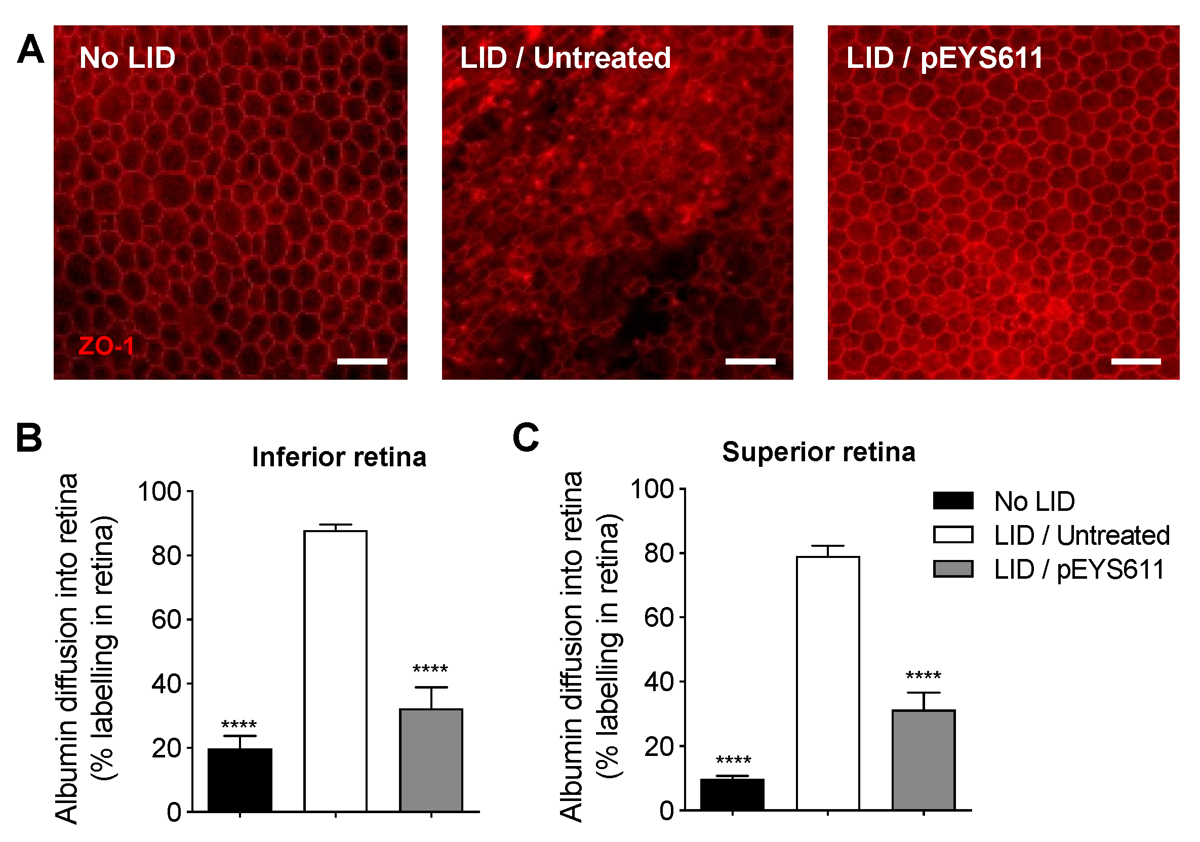 Pharmaceutics 12 00836 g006
