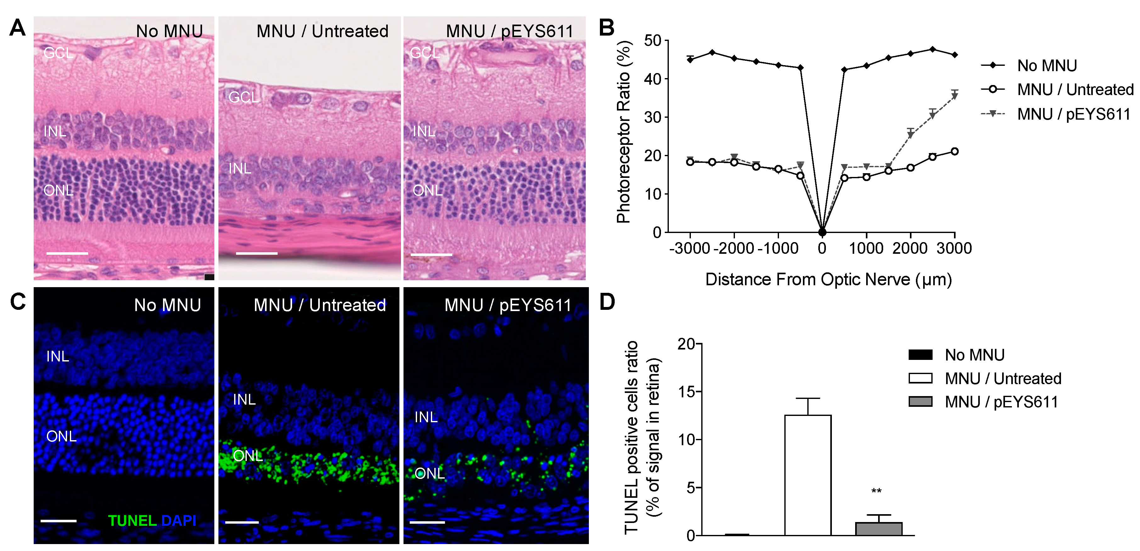 Pharmaceutics 12 00836 g008