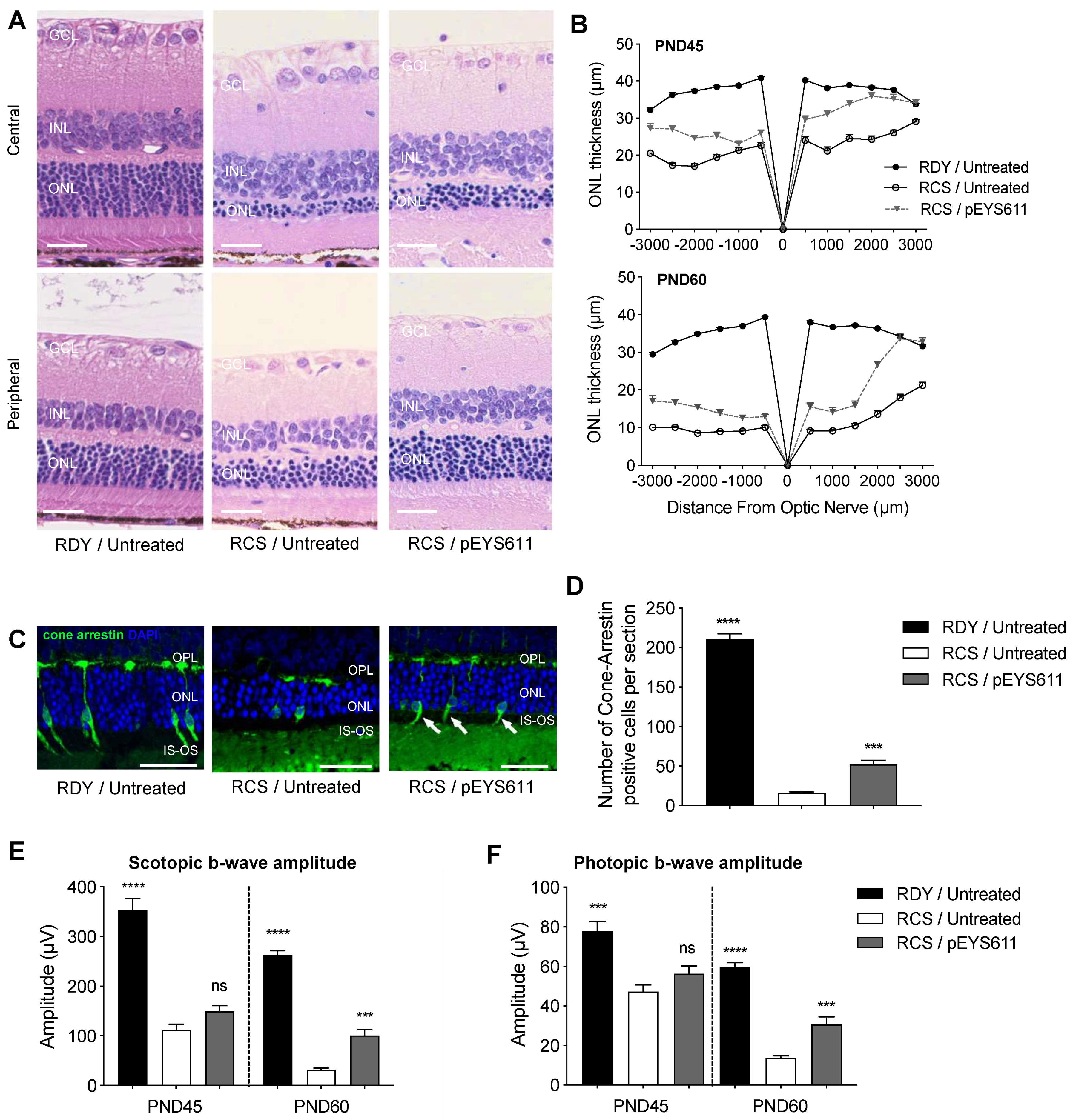 Pharmaceutics 12 00836 g009