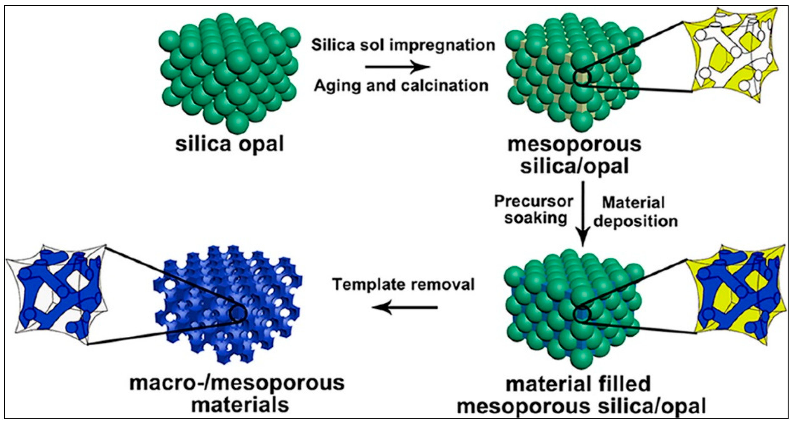 Pharmaceutics 12 00851 g001