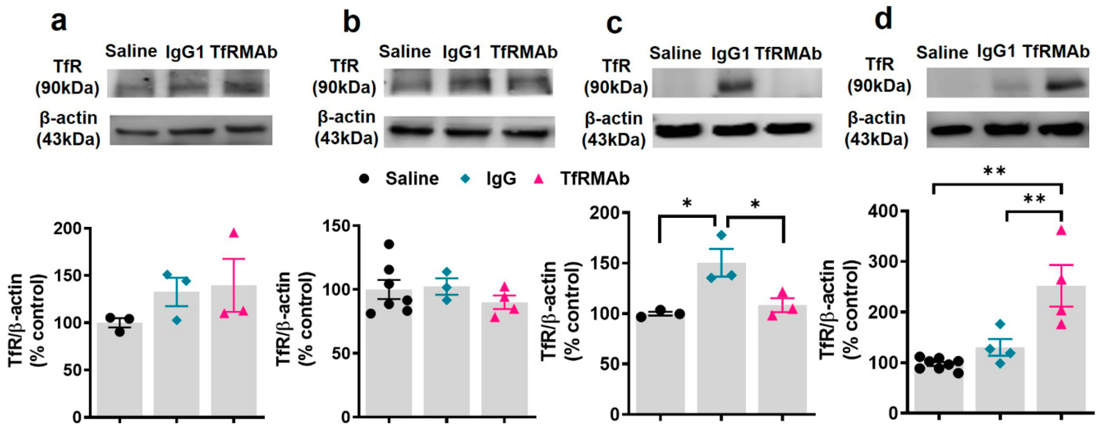 Pharmaceutics 12 00852 g006 Pharmaceutics 12 00852 g006