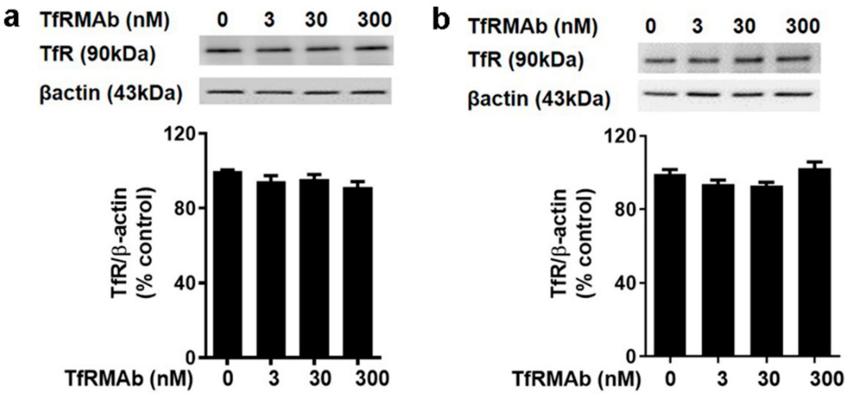 Pharmaceutics 12 00852 g007 Pharmaceutics 12 00852 g007