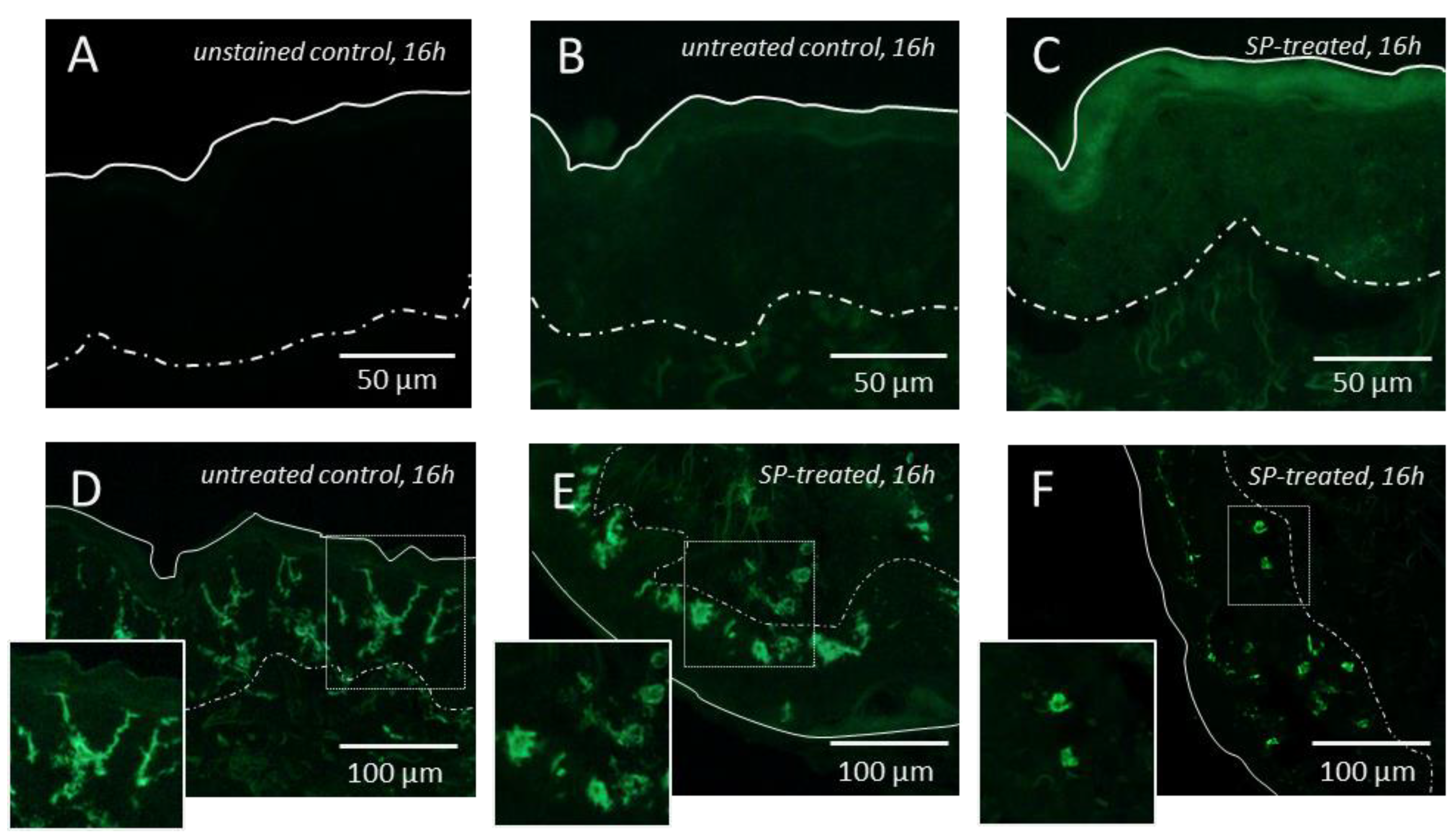 Pharmaceutics 12 00862 g002 Pharmaceutics 12 00862 g002