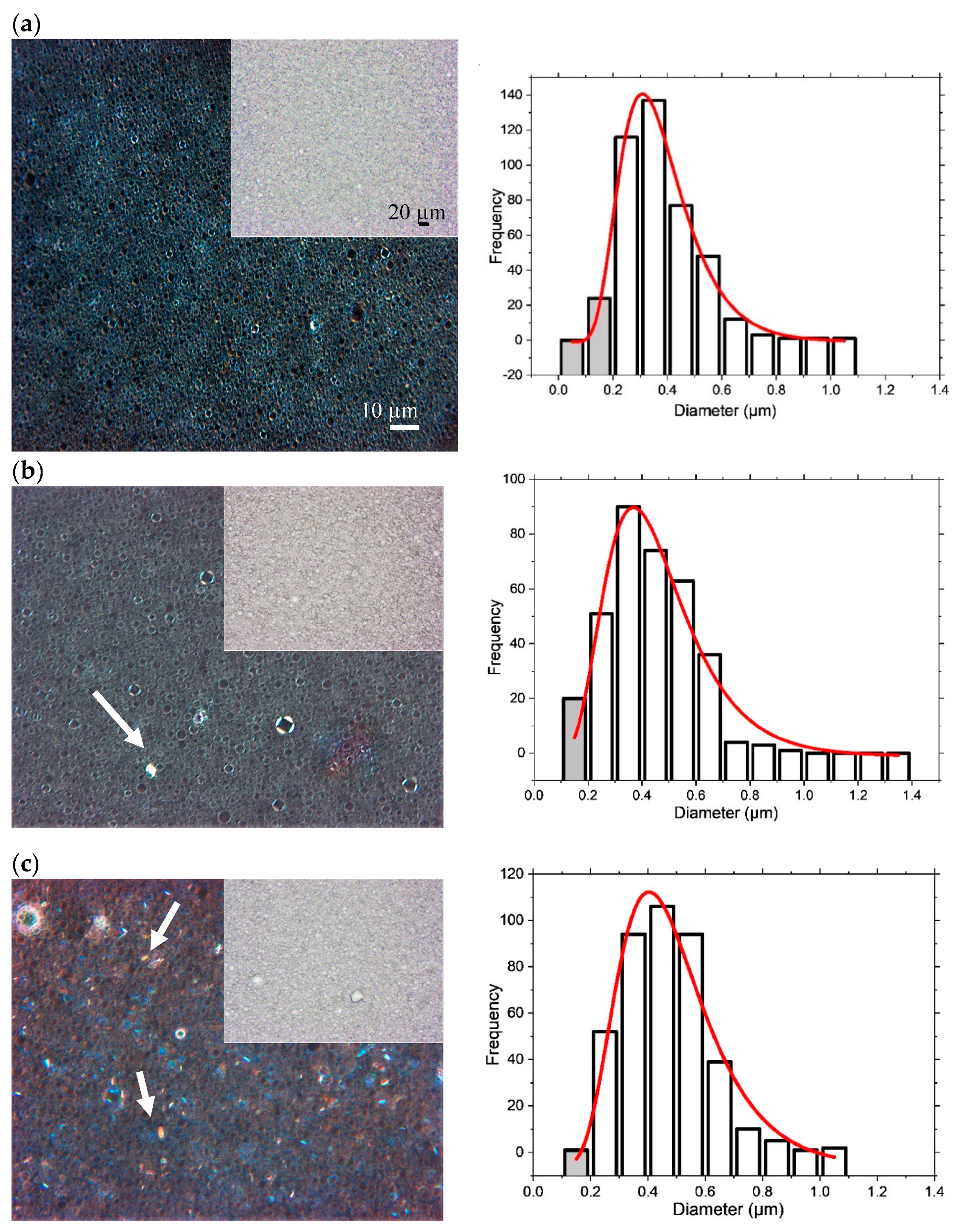 Pharmaceutics 12 00864 g001