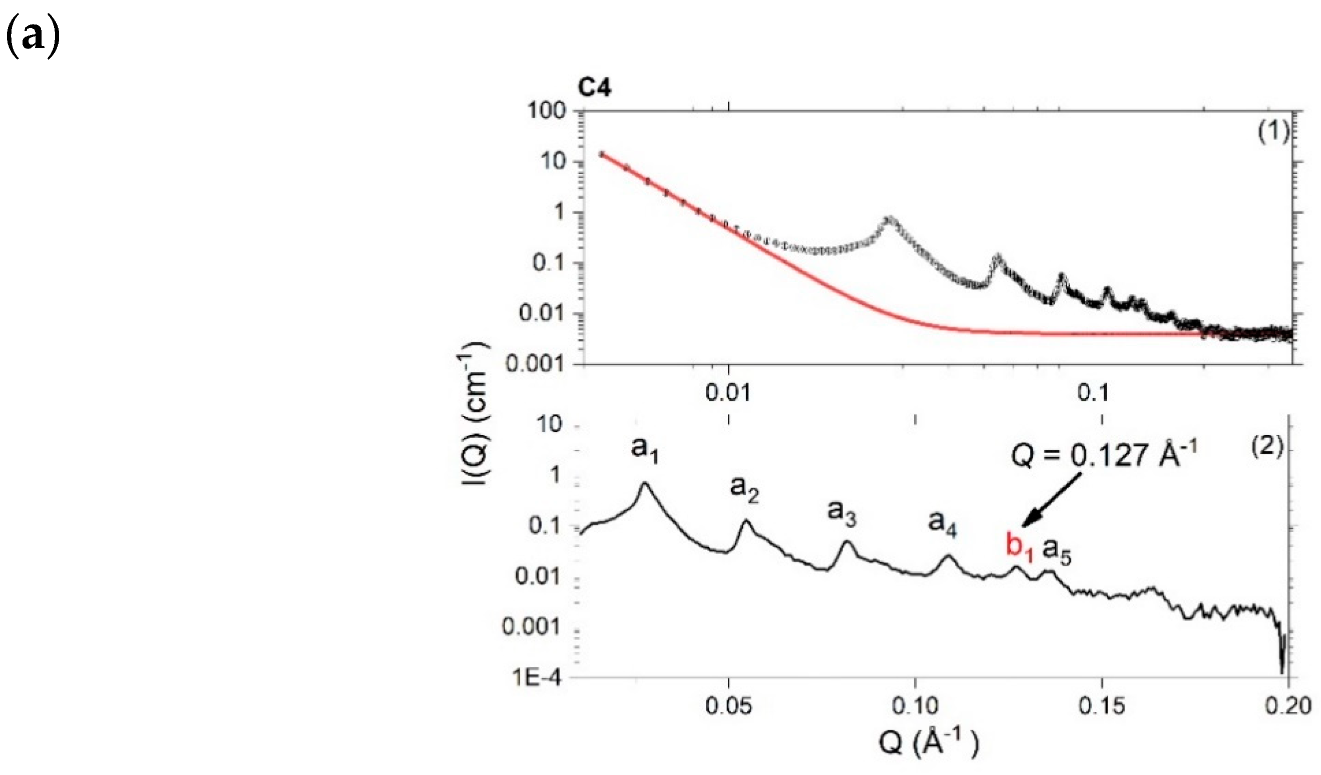 Pharmaceutics 12 00864 g003a