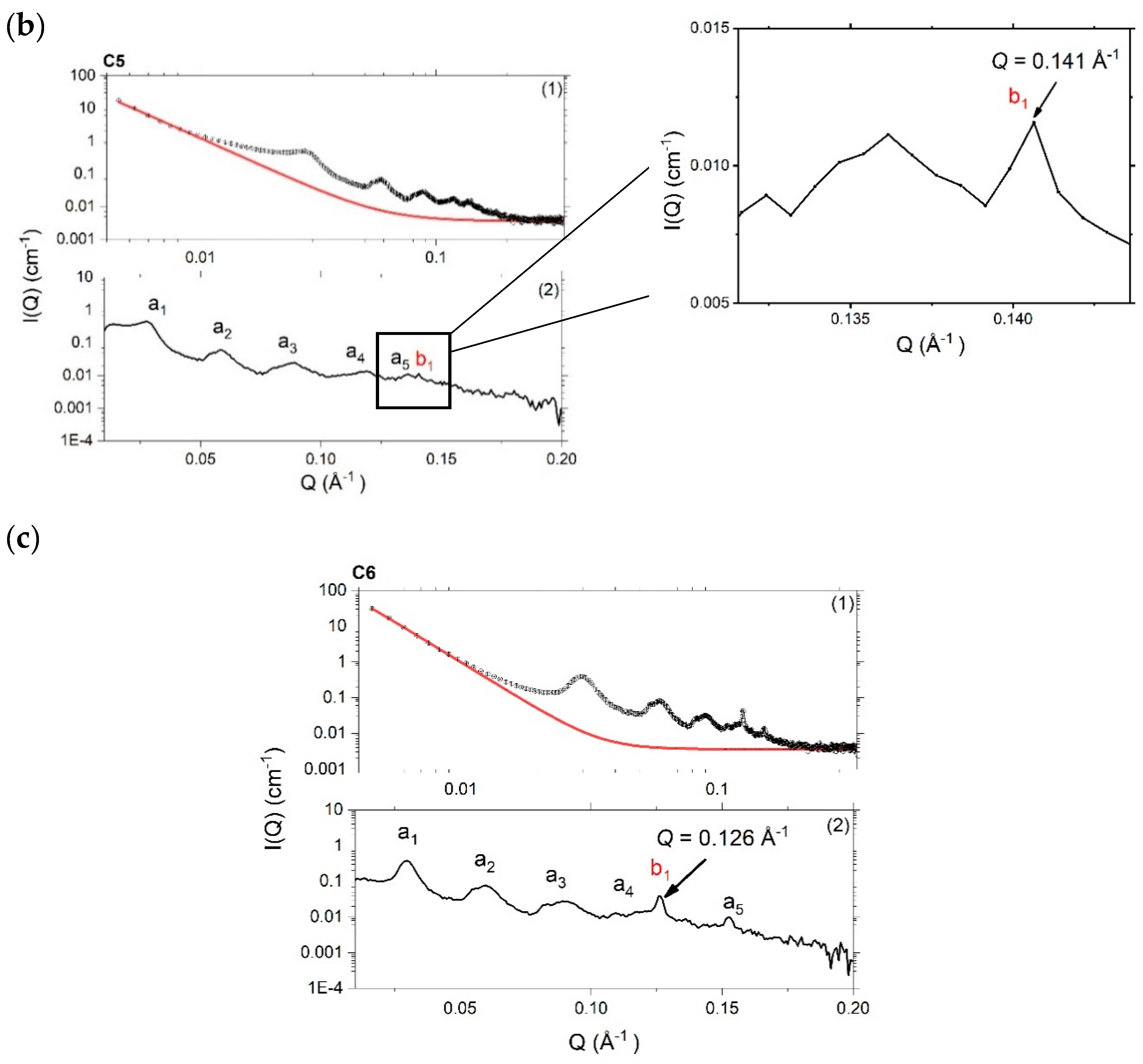 Pharmaceutics 12 00864 g003b