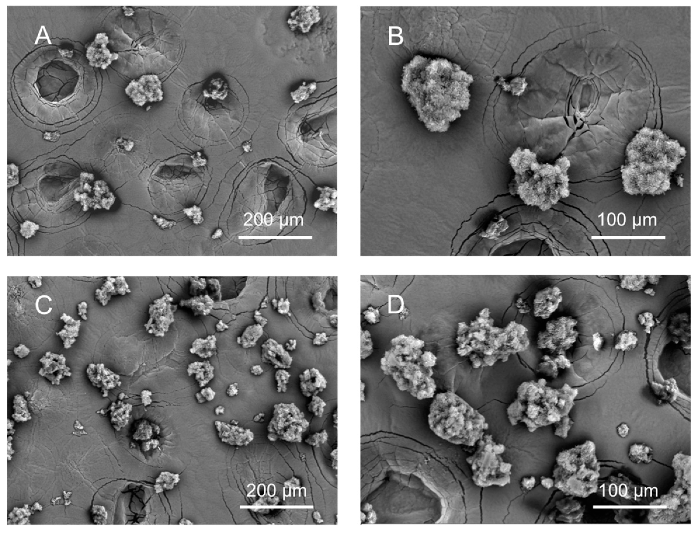 Pharmaceutics 12 00870 g002