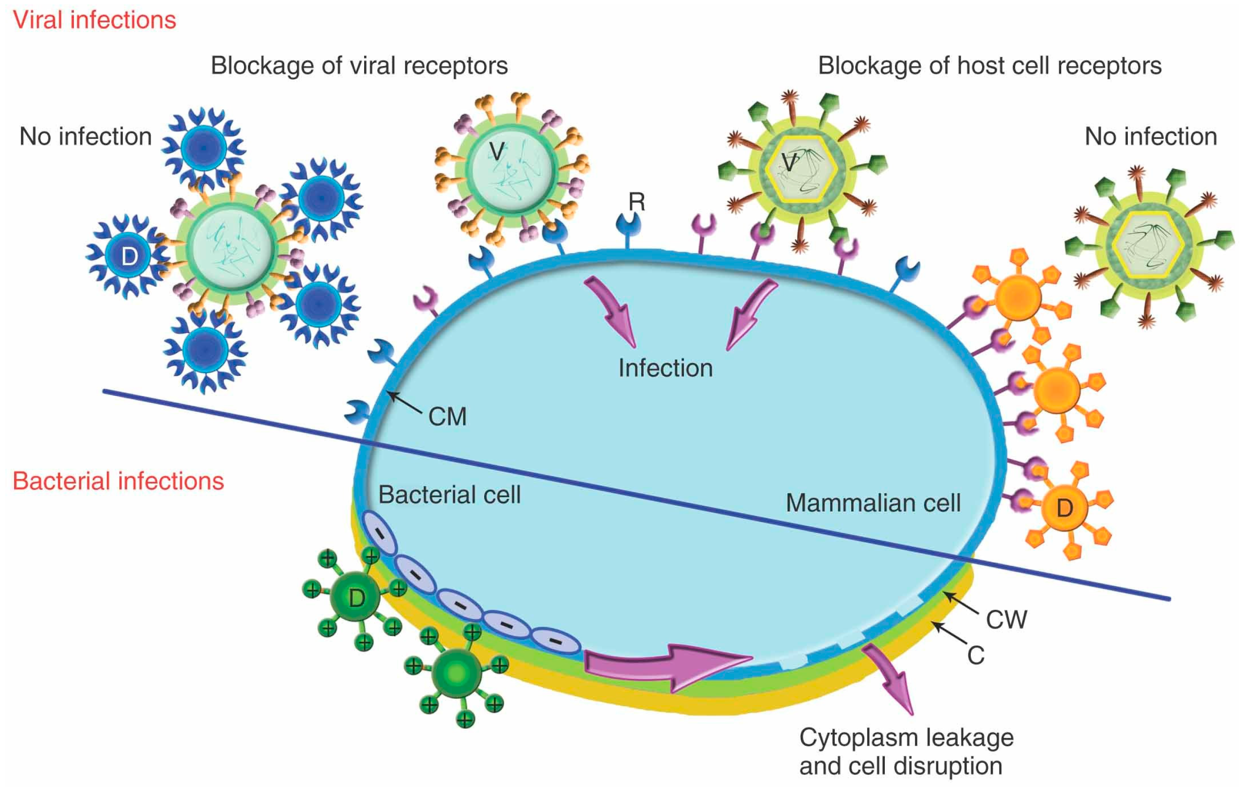 Pharmaceutics 12 00874 g004 Pharmaceutics 12 00874 g004
