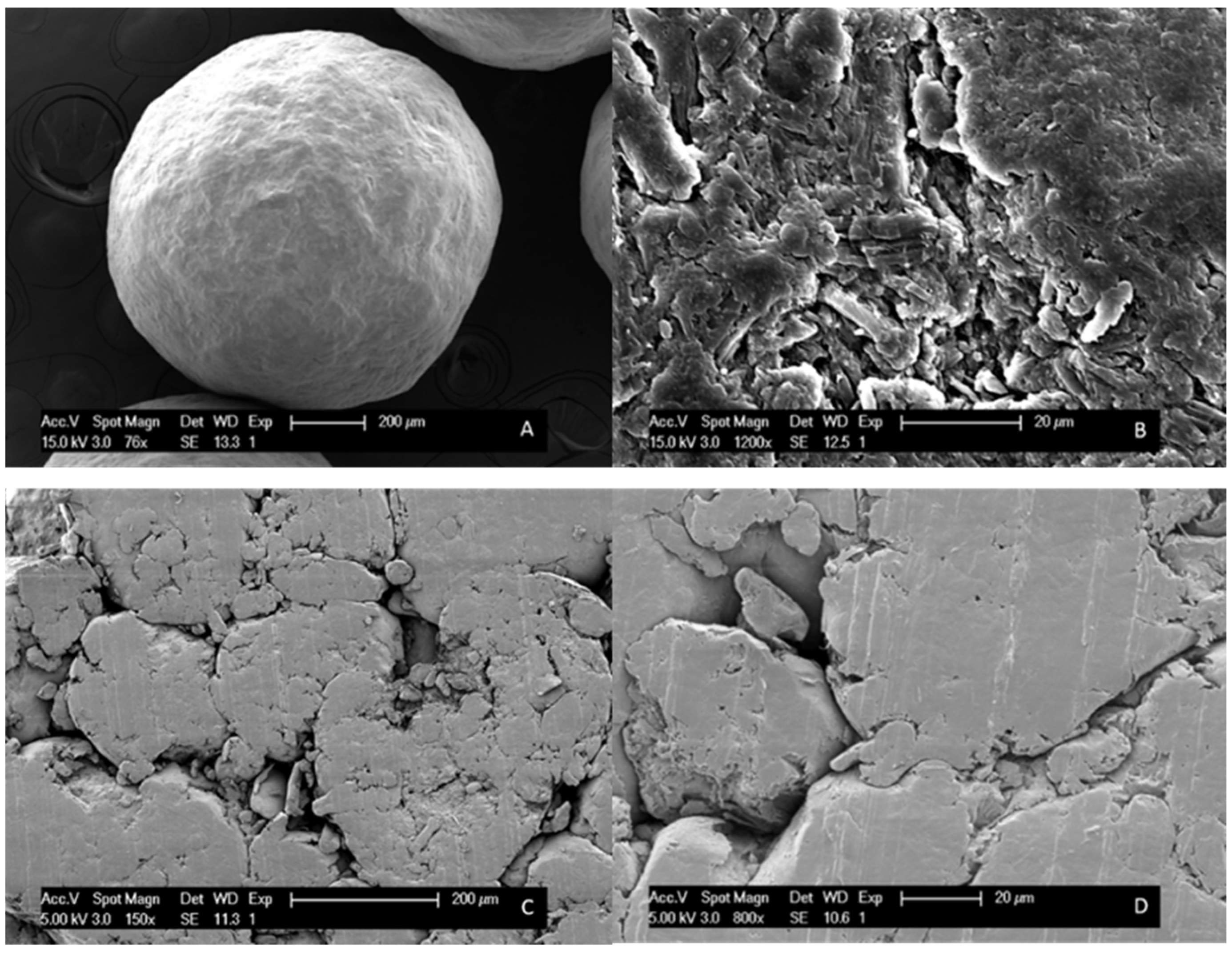 Pharmaceutics 12 00878 g005