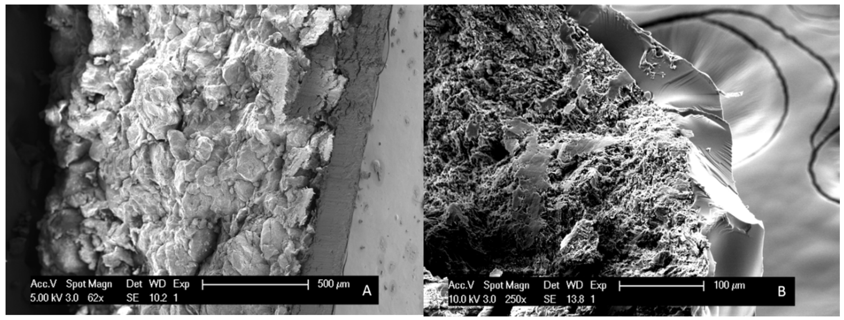 Pharmaceutics 12 00878 g008