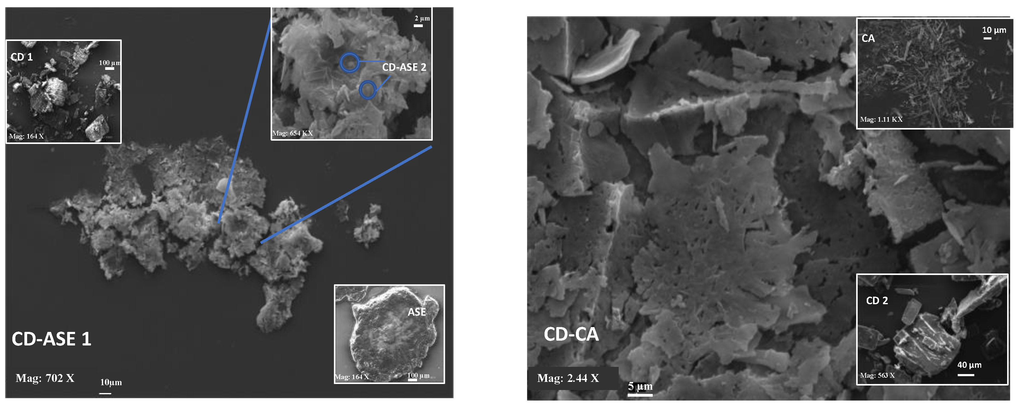 Pharmaceutics 12 00884 g004