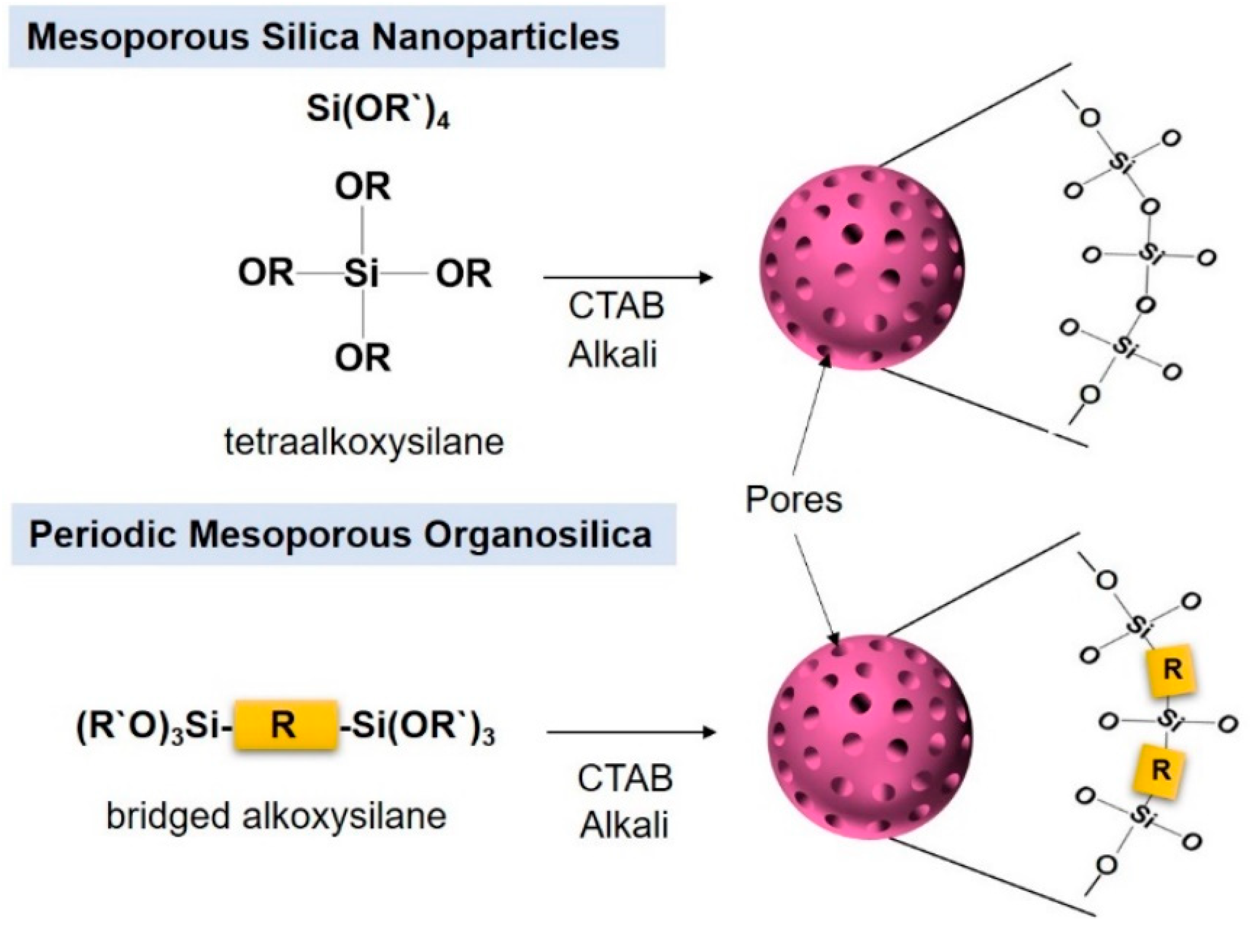 Pharmaceutics 12 00890 g001