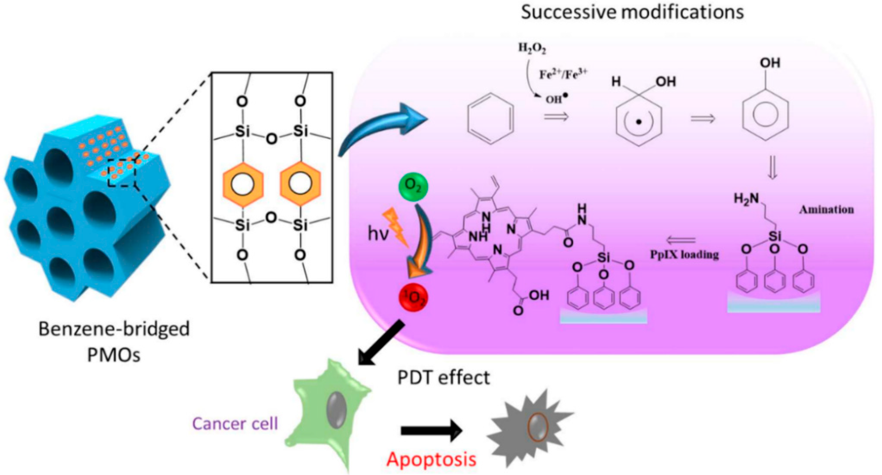 Pharmaceutics 12 00890 g005