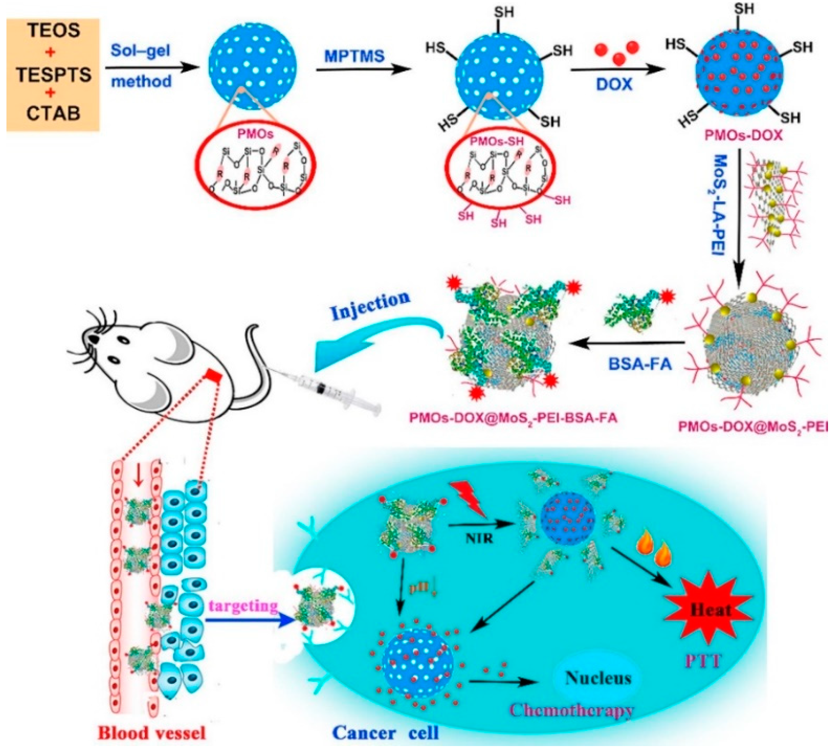 Pharmaceutics 12 00890 g006