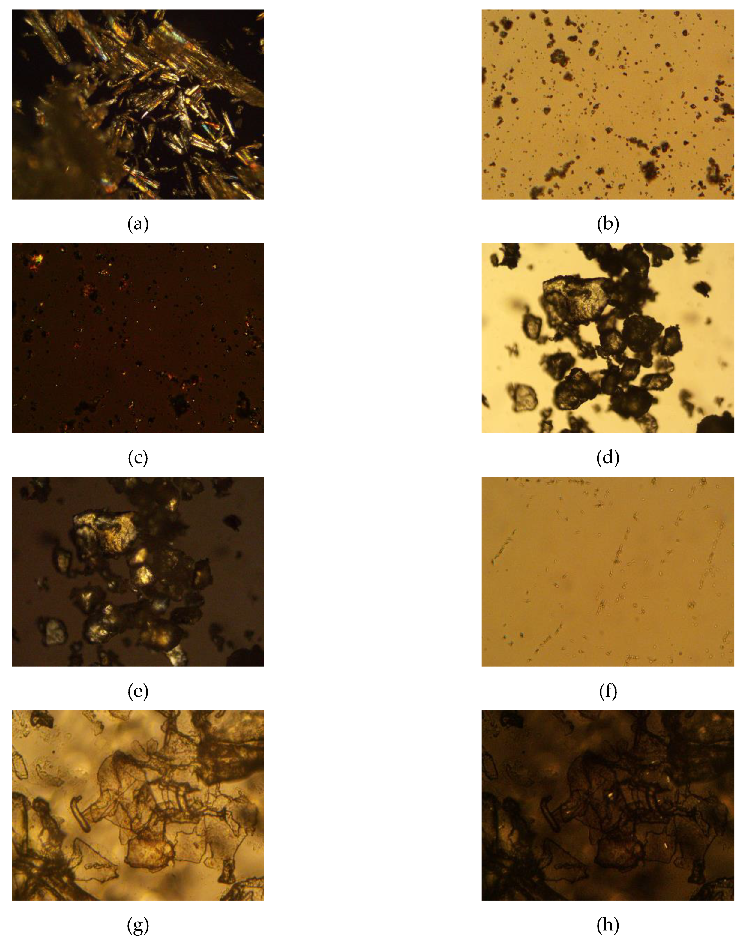 Pharmaceutics 12 00892 g003