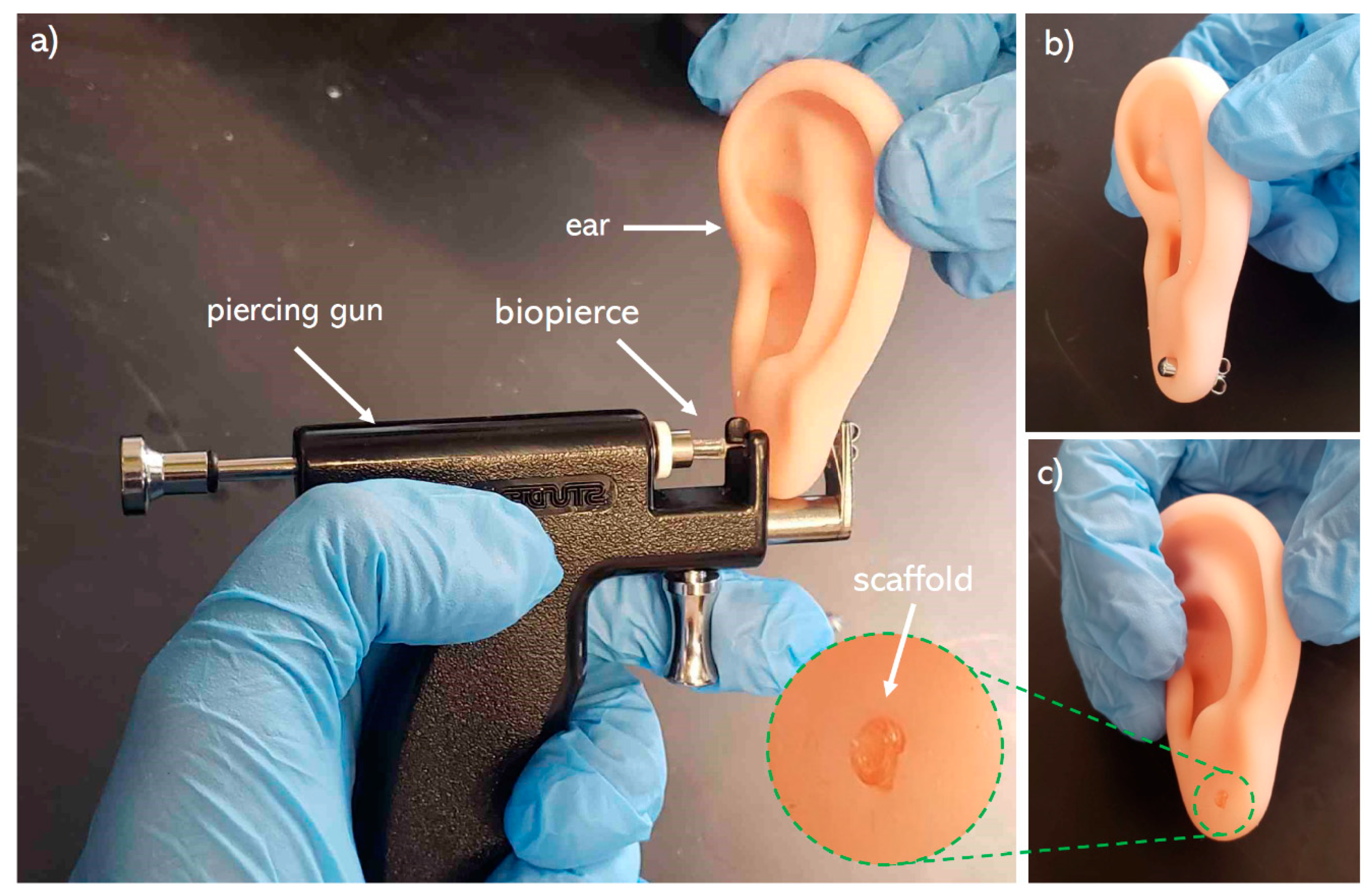 Pharmaceutics 12 00901 g008 Pharmaceutics 12 00901 g008